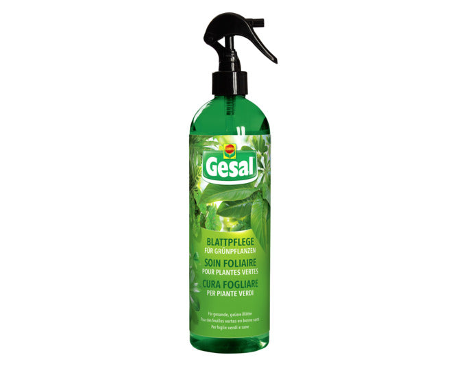 GESAL Blattpflege für Grünpflanzen 500 ml in  präsentiert im Onlineshop von KAQTU Design AG. Gartenpflege ist von GESAL