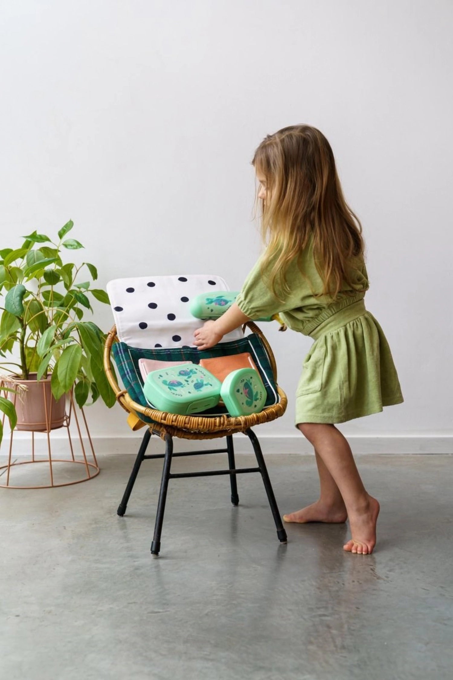 Sealife Cookiebox turtle 112x110x40 light green