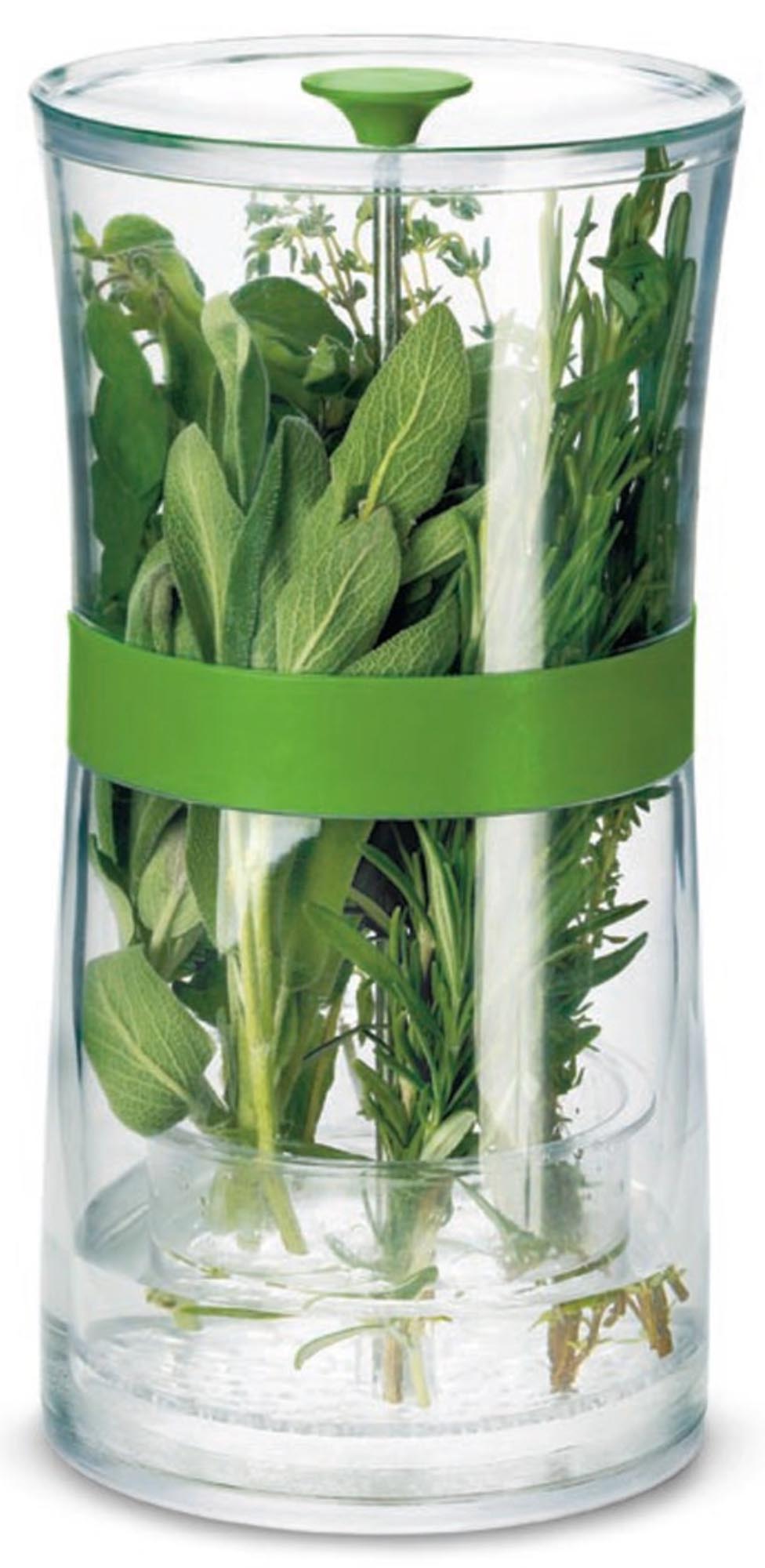 Fresh container for herbs H: 24 cm, 12 cm