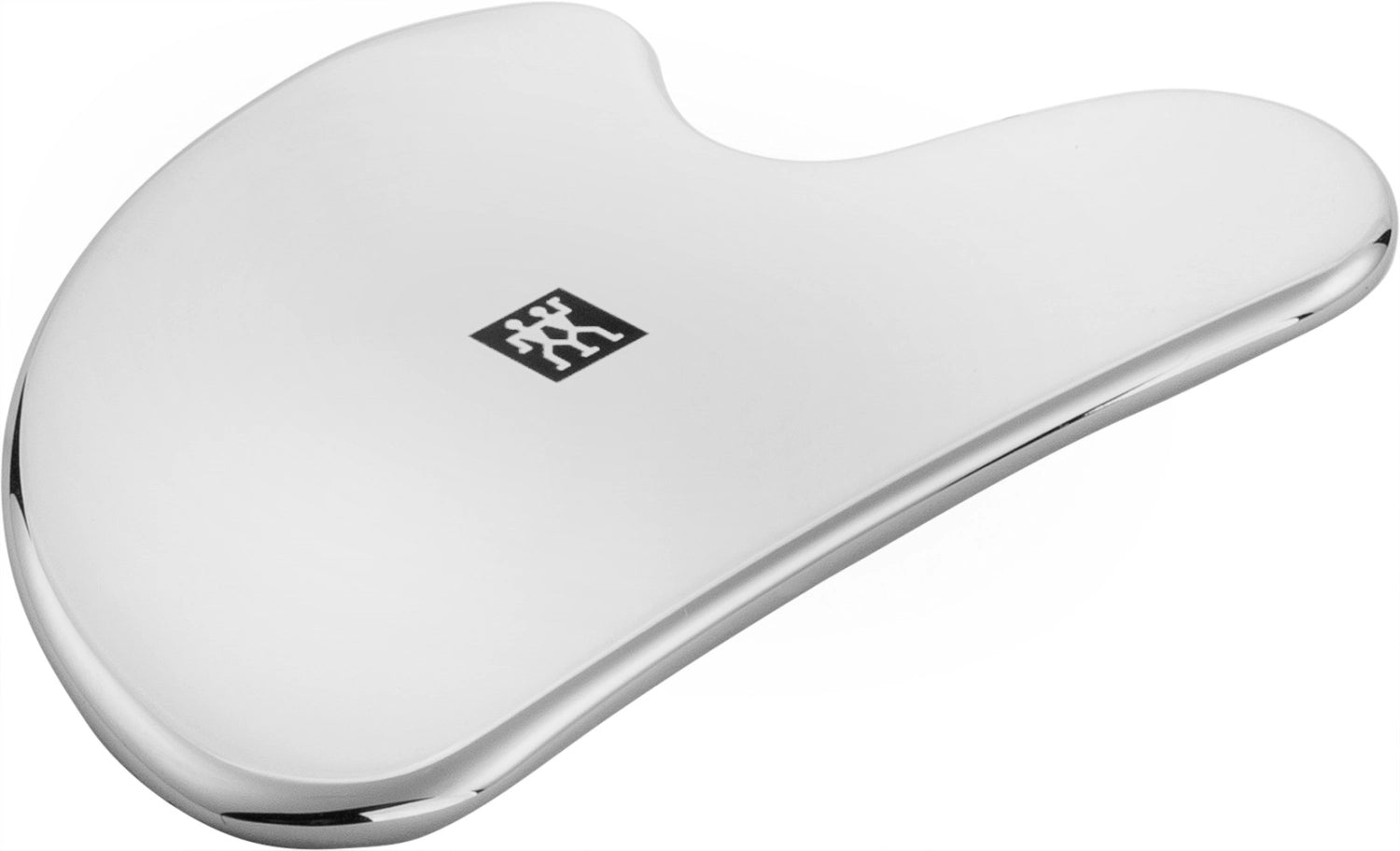 Dispositif de massage pour le visage