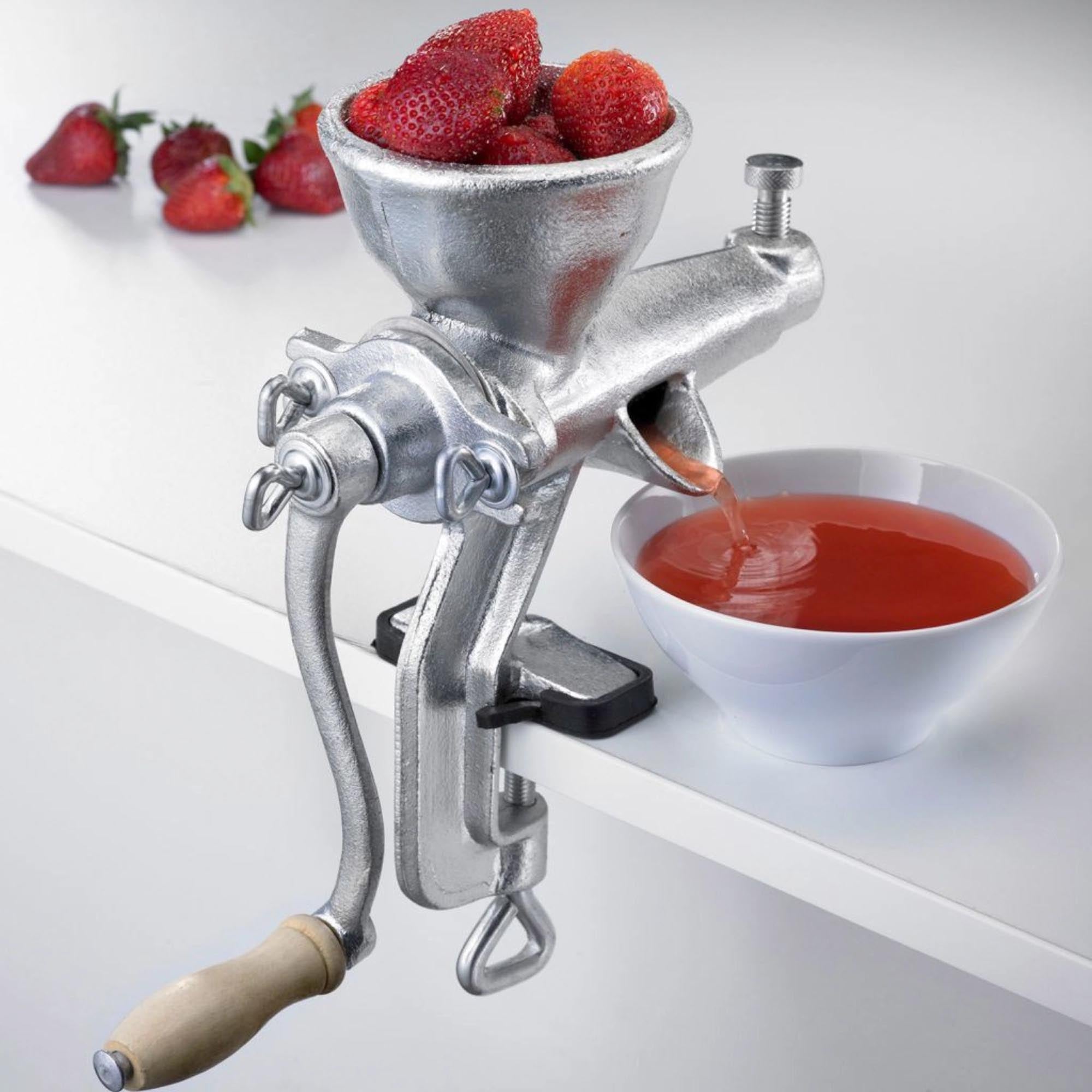 Robuste Saft- und Beerenpresse Starke Else von Westmark, ideal für frische Säfte, kompakt mit Maßen 29x10.5x43cm.