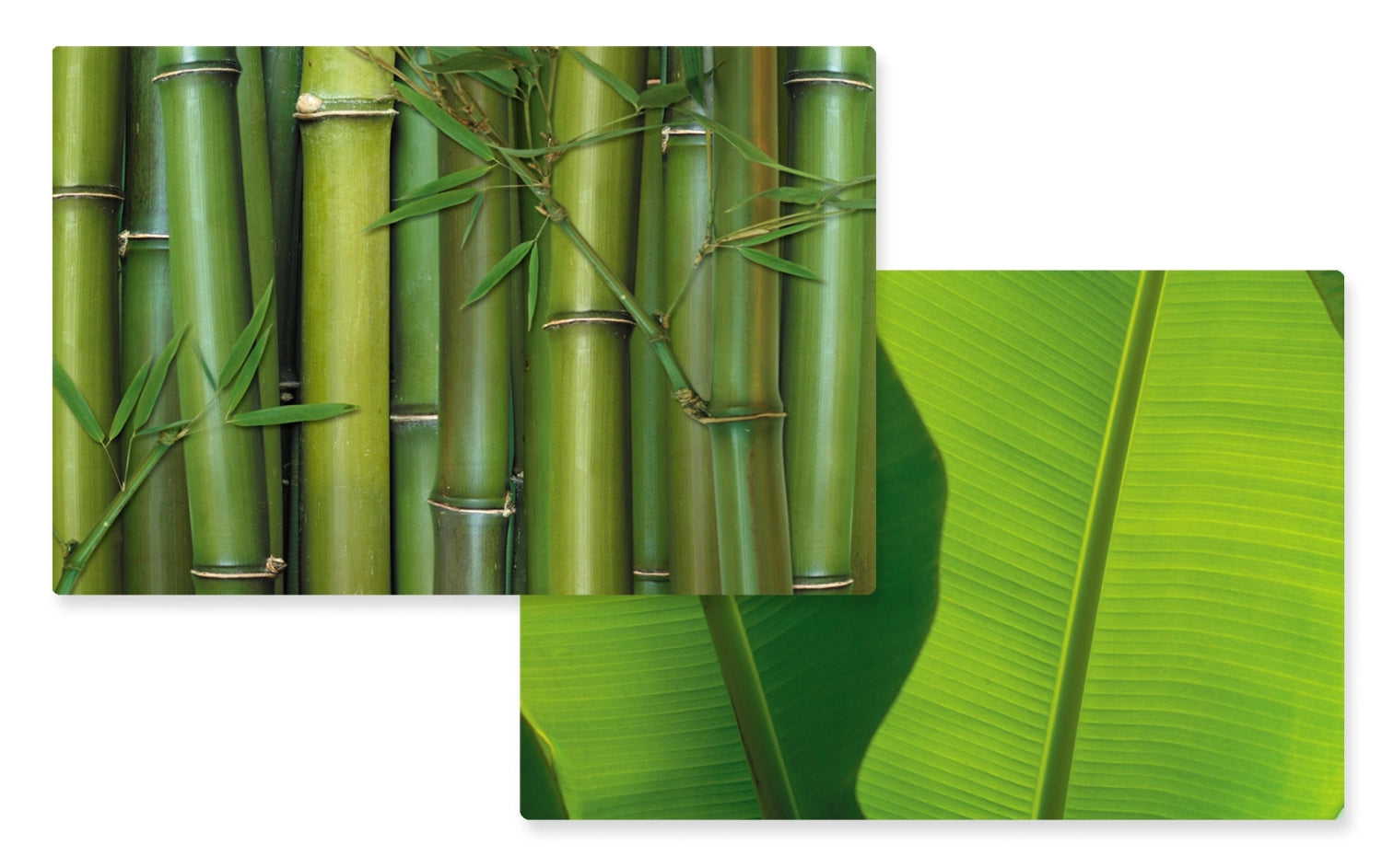 Bamboo Tischset doppelseitig 45x30cm - KAQTU Design