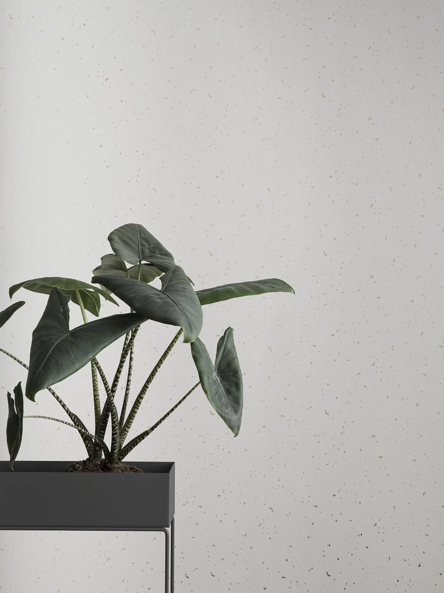 Tapete Confetti in Cremeweiss präsentiert im Onlineshop von KAQTU Design AG. Tapete ist von Ferm Living