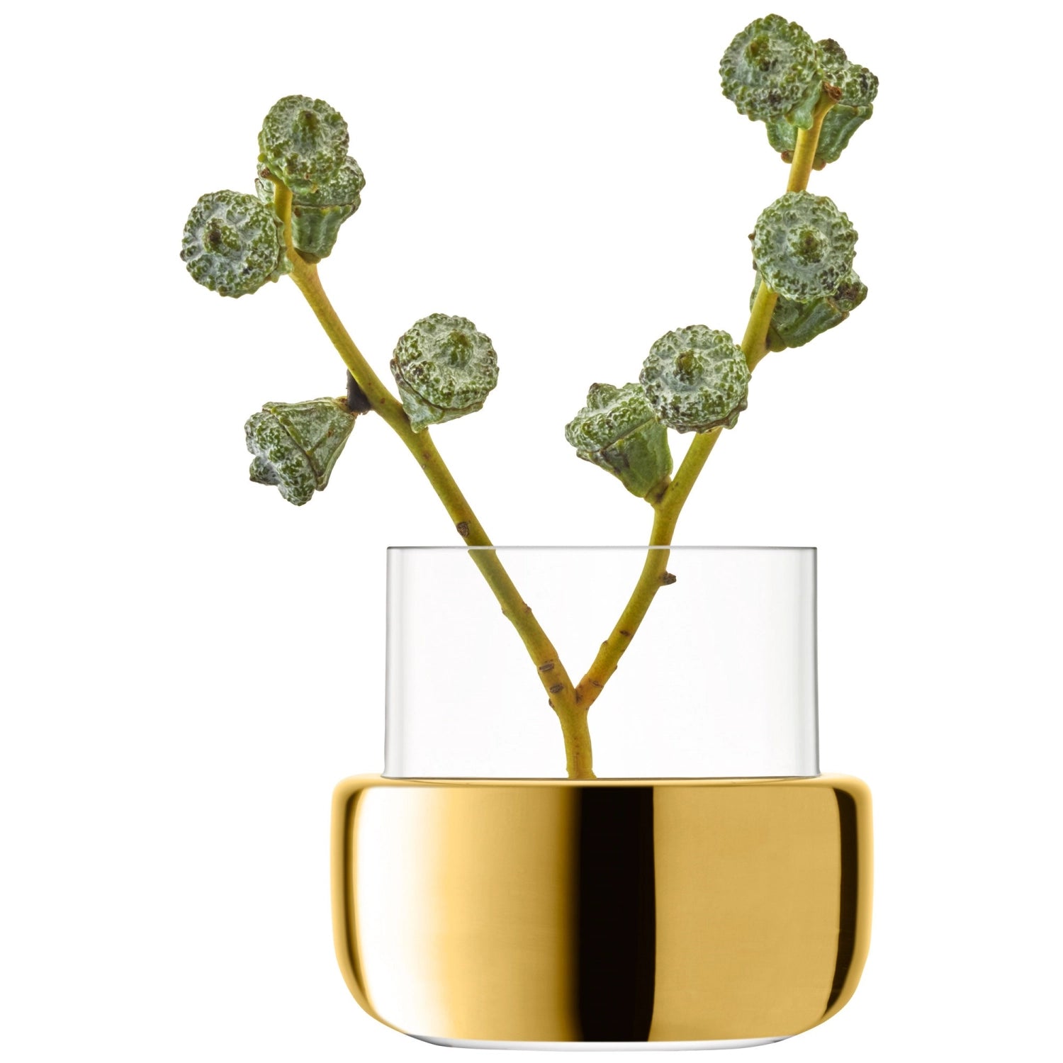 Aurum Teelicht Vase 8.5cm Clear  Gold