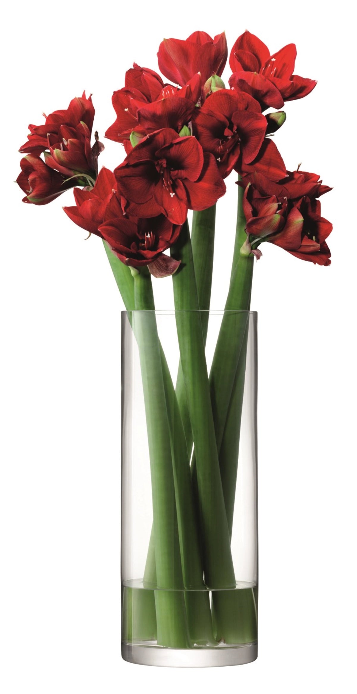 Column Giant Vase H50 x Ø20cm - klar in Transparent präsentiert im Onlineshop von KAQTU Design AG. Vase ist von LSA
