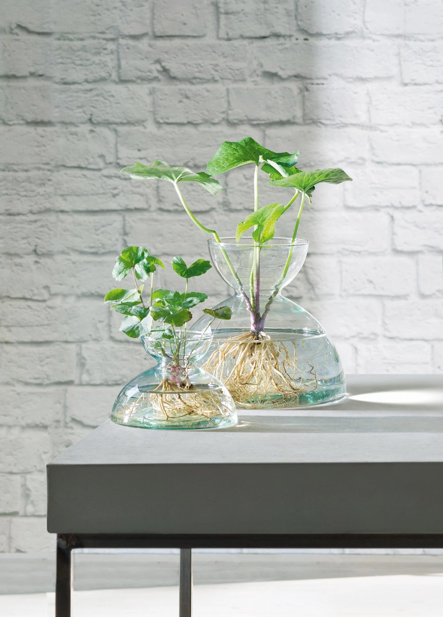 Elegante Canopy Vase von LSA, 9,5 cm hoch, aus recyceltem Glas. Ideal für stilvolle Blumenarrangements und nachhaltige Wohnakzente.