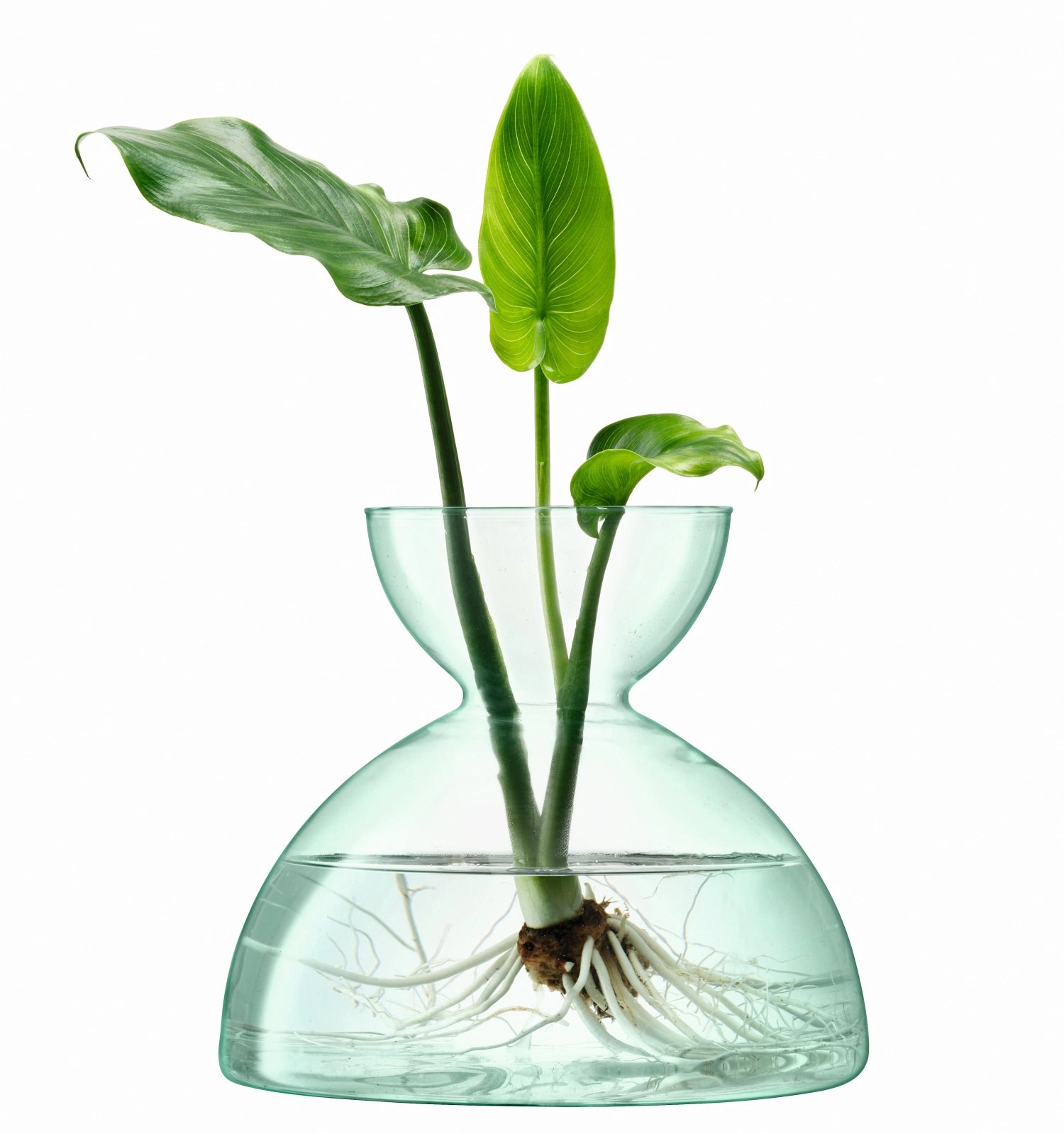 Elegante Canopy Vase (H9.5cm) aus nachhaltigem Material, ideal für dekorative Akzente und frische Blumen in jedem Raum.