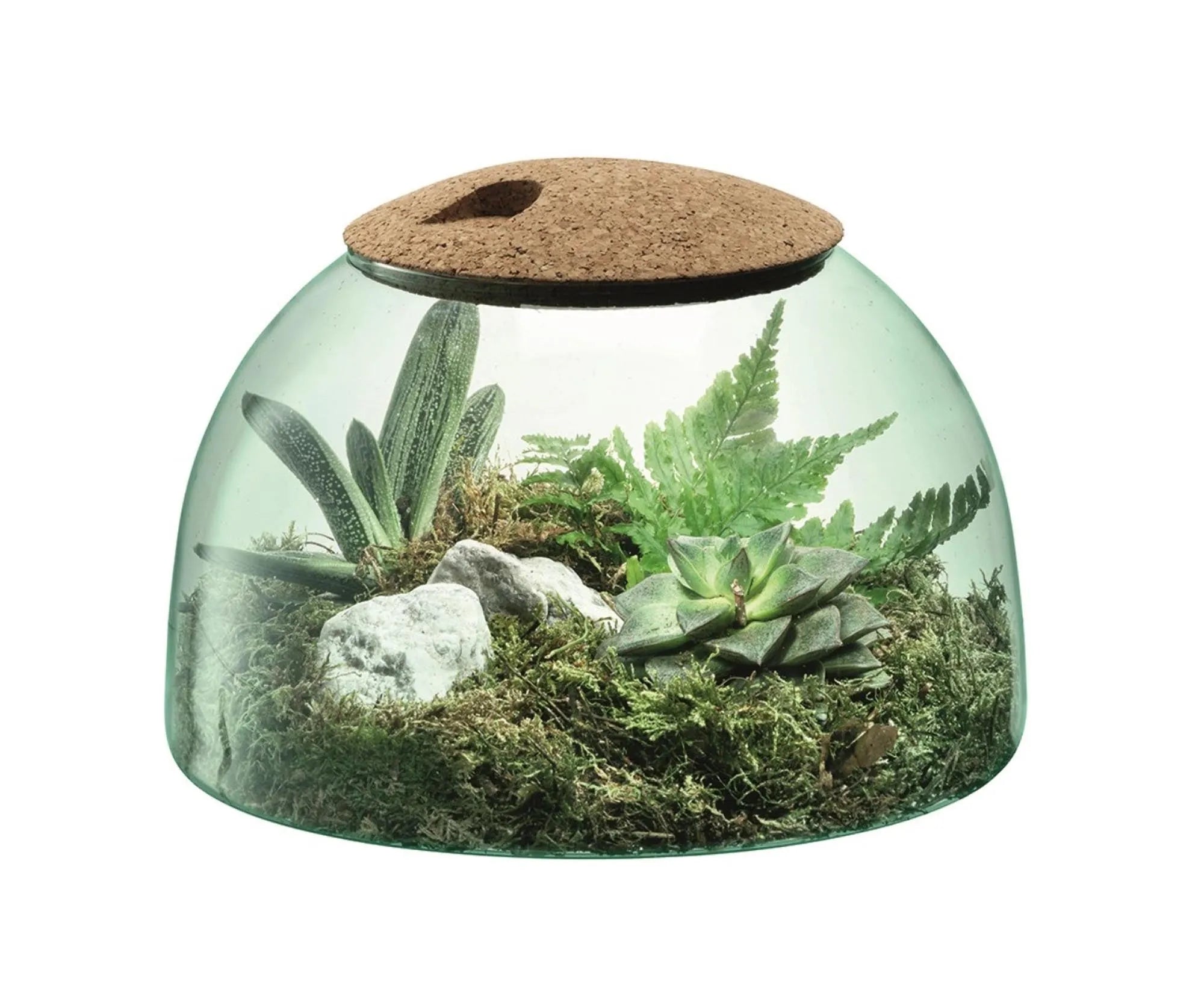 Eleganter Garten Canopy H16,5cm aus nachhaltigem Glas von LSA.
