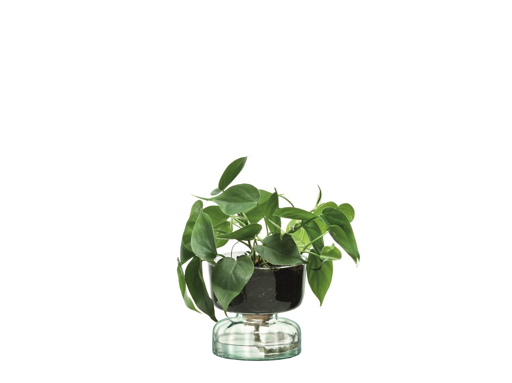 Canopy selbstbewässernder Topf  H13cm - recy. Optik