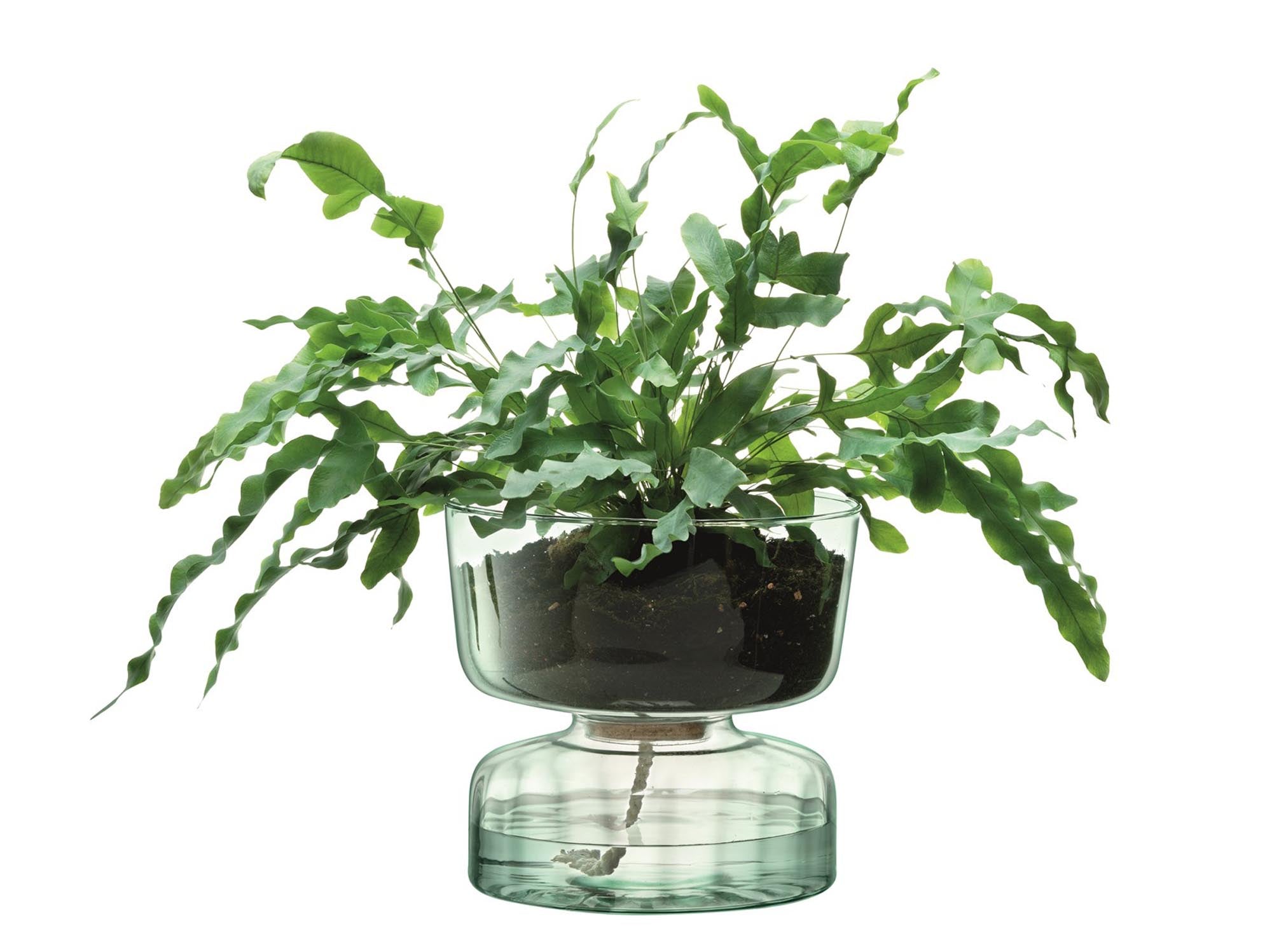 Canopy selbstbewässernder Topf H22cm - recy. Optik