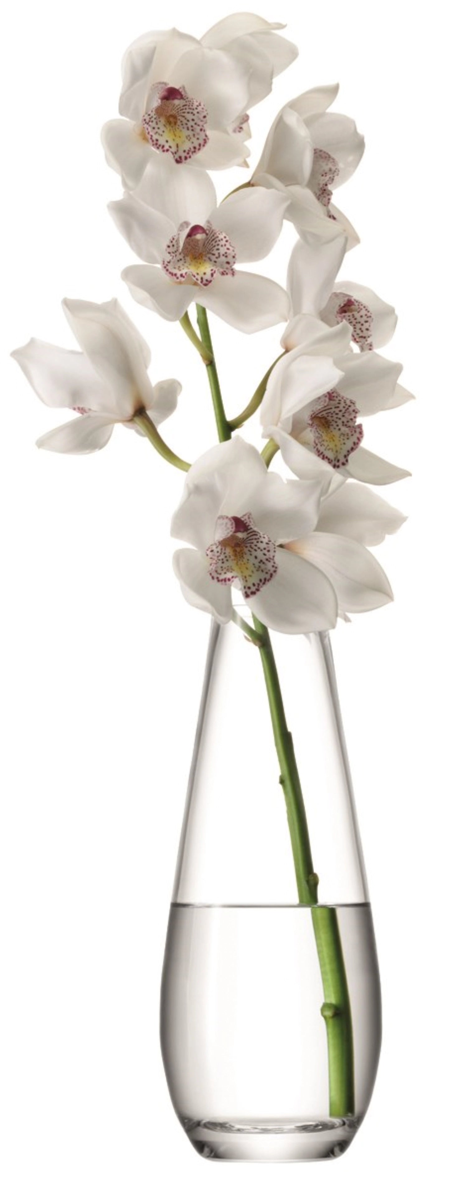 Flower Vase für lange Stiele H29cm - klar - KAQTU Design