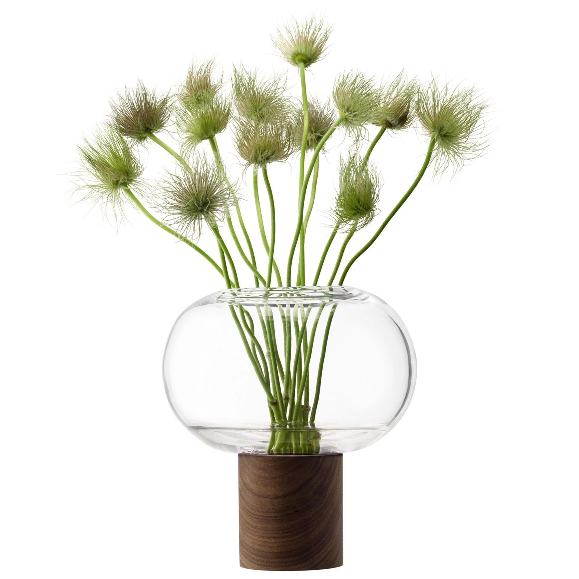 LSA Vase: Klare Eleganz mit Walnussbasis für moderne Blumenakzente.