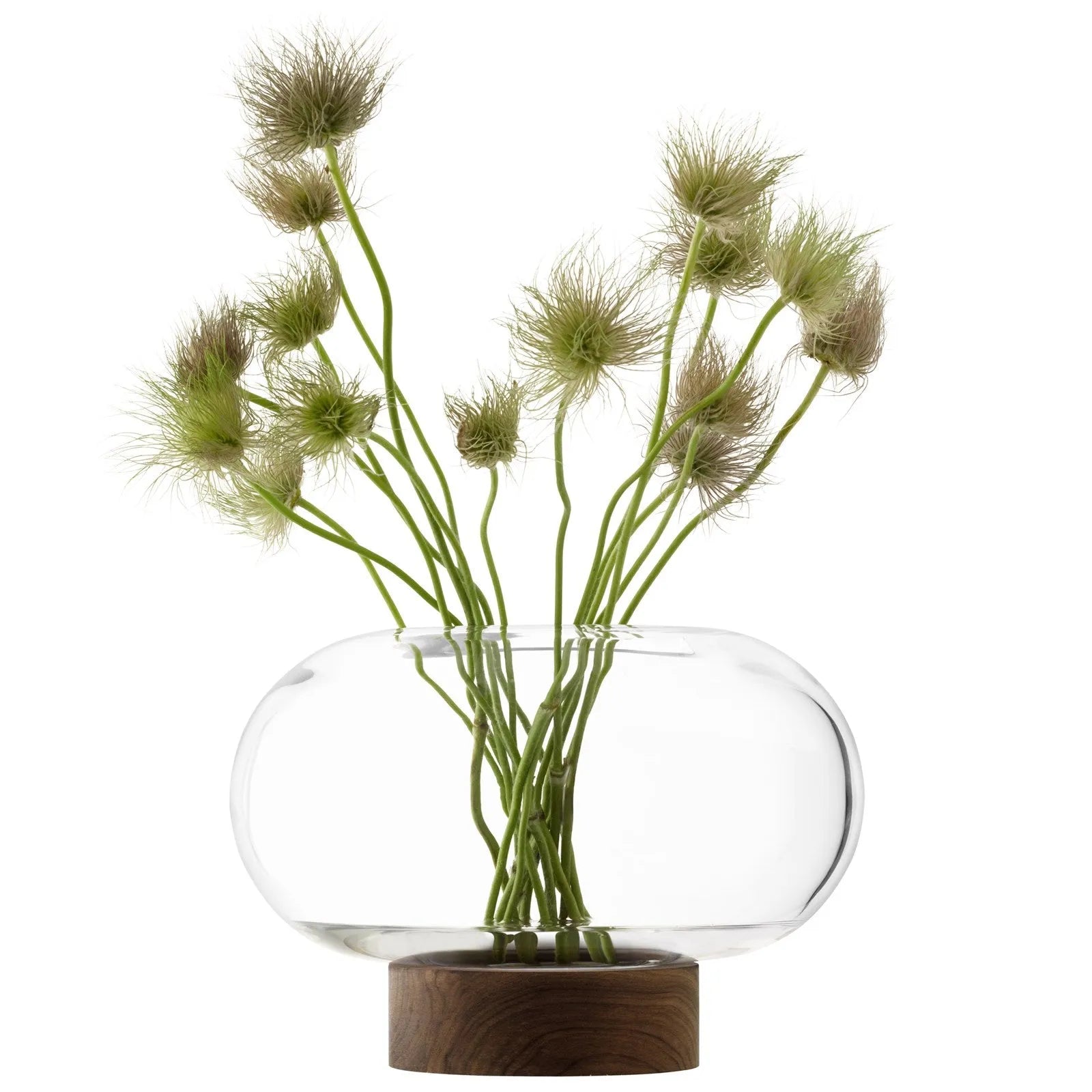Elegante LSA Vase-Laterne aus Glas und Walnuss, Ø28cm, H19.5cm.