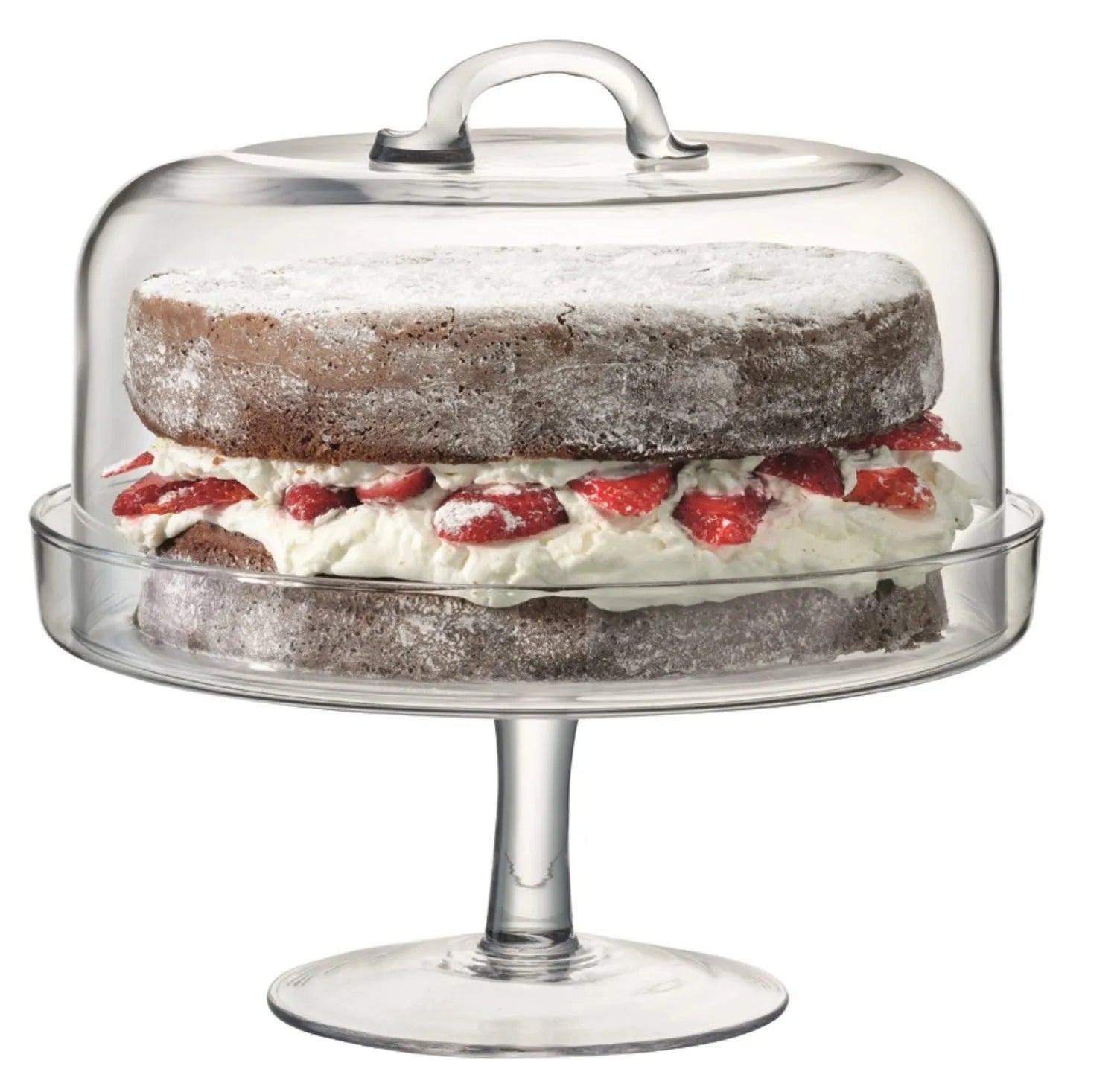 Elegante LSA Kuchenplatte mit klarer Haube, perfekt für Präsentationen.