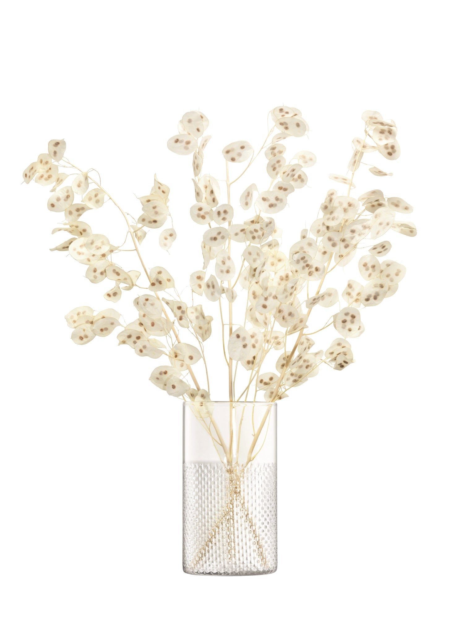 Vase en osier léger de tempête H25 cm transparent