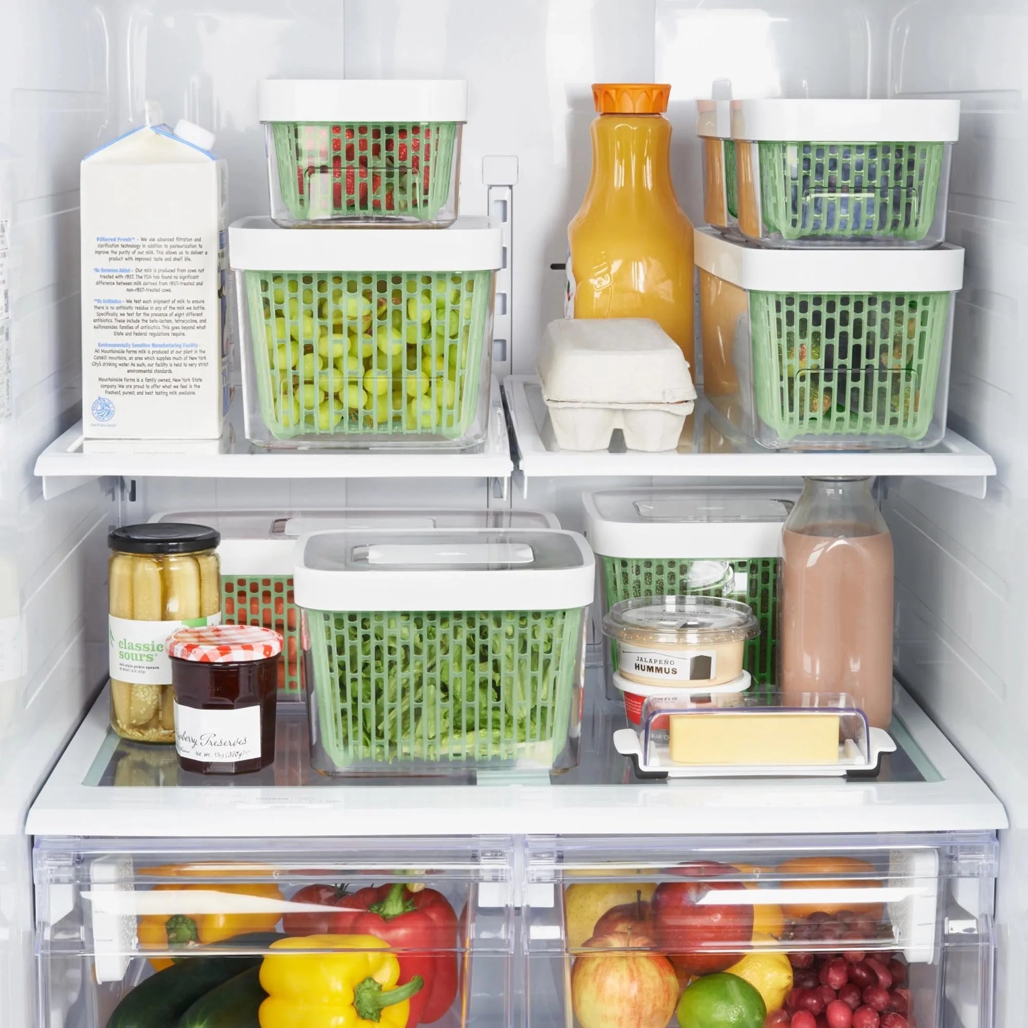OXO Greensaver: Frische Lebensmittel länger haltbar mit Aktivkohle.