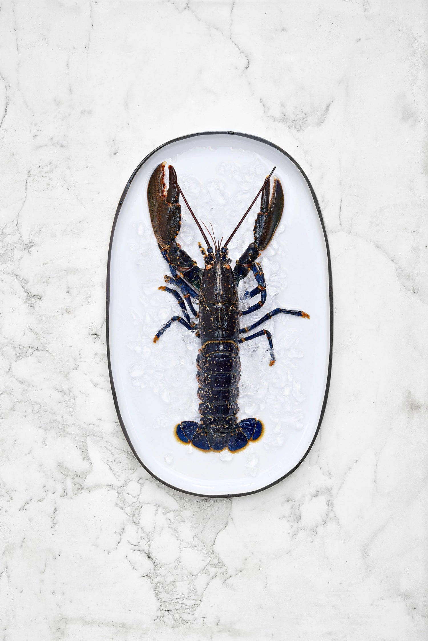 Caractère dinner plate, Ø26cm, turmeric