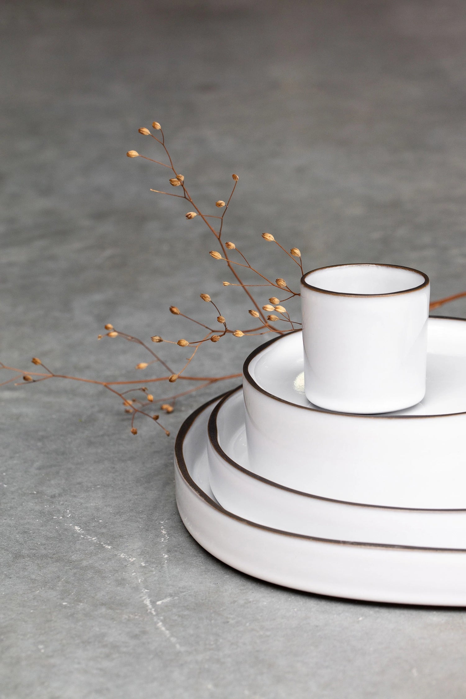 Eleganter Dessertteller Ø15cm in Kardamom von Revol für Feinschmecker.