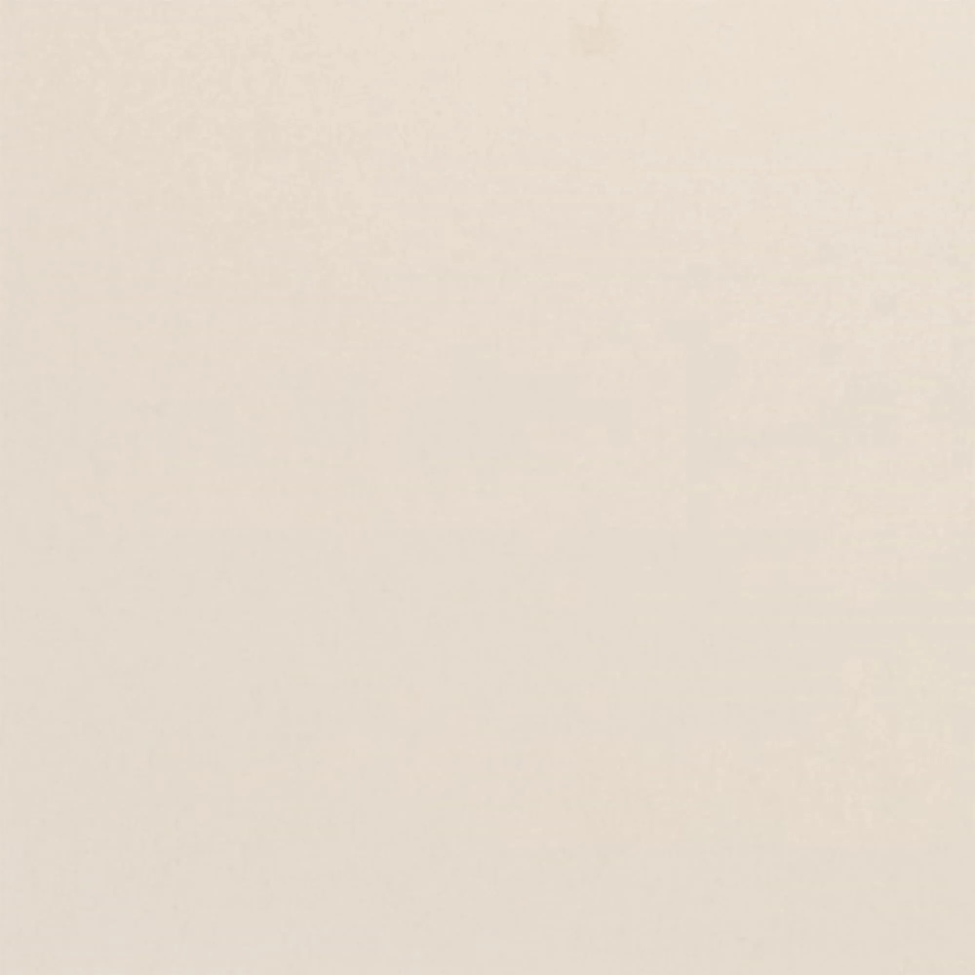 Elegantes, stabiles Tablett (53x37cm) aus Glasfaser-Polyester, ideal für Gastronomie. Perlweiss, hitzebeständig, leicht zu reinigen.