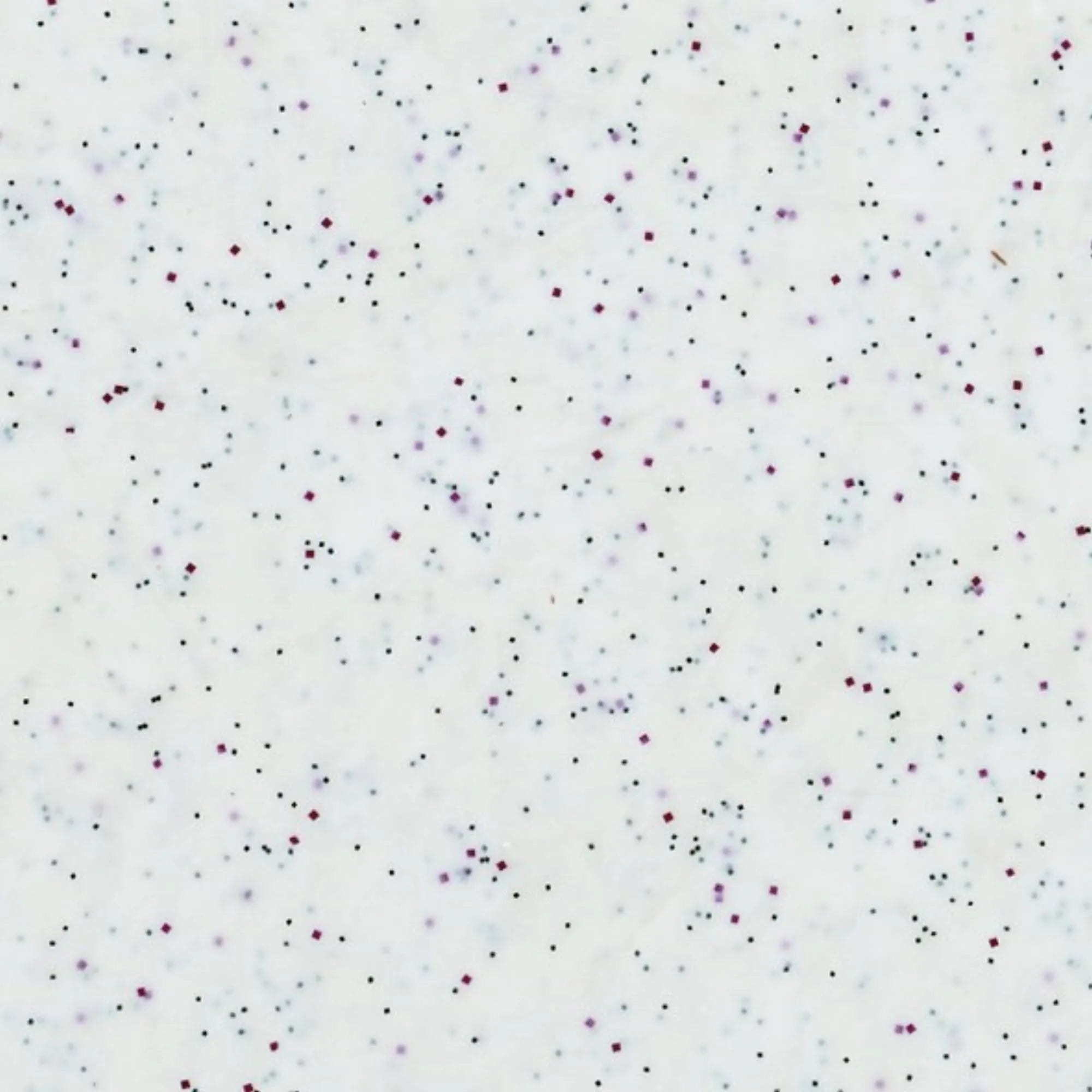 Robustes, weißes Tablett (53x37cm) aus Glasfaser-Polyester, ideal für Gastronomie: stabil, langlebig, hygienisch, elegantes Design.