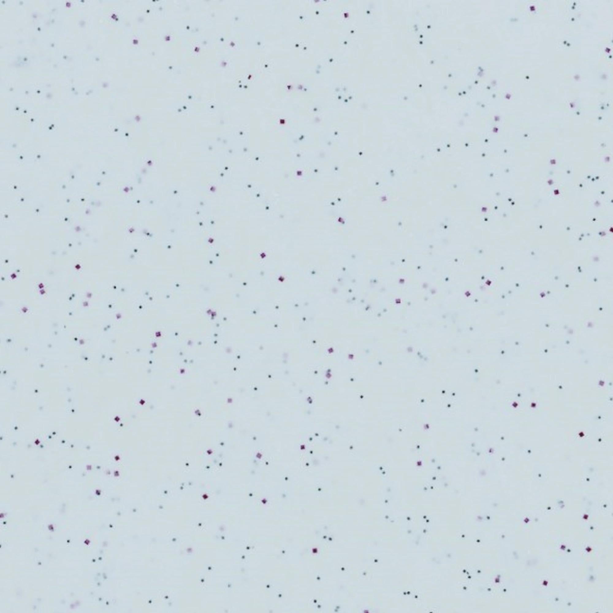 Robustes, graues Schneidbrett 37x26,5cm von Roltex: langlebig, hygienisch, hitzebeständig, ideal für Küche und Gastronomie.