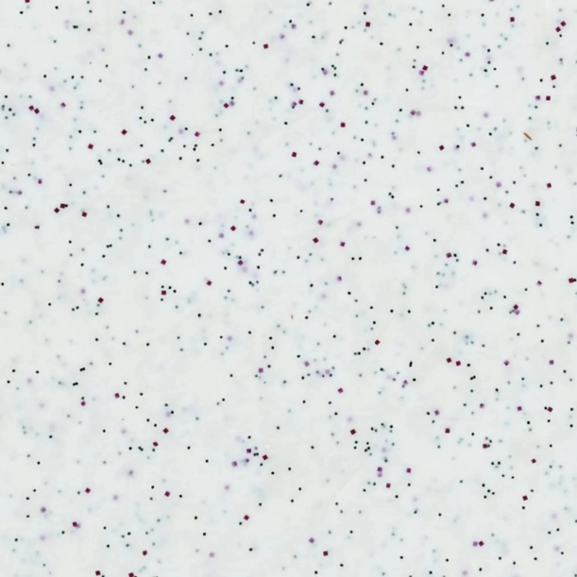 Robustes, hitzebeständiges Tablett (45x32cm) aus Glasfaser-Polyester, ideal für Gastronomie und Catering, leicht zu reinigen.