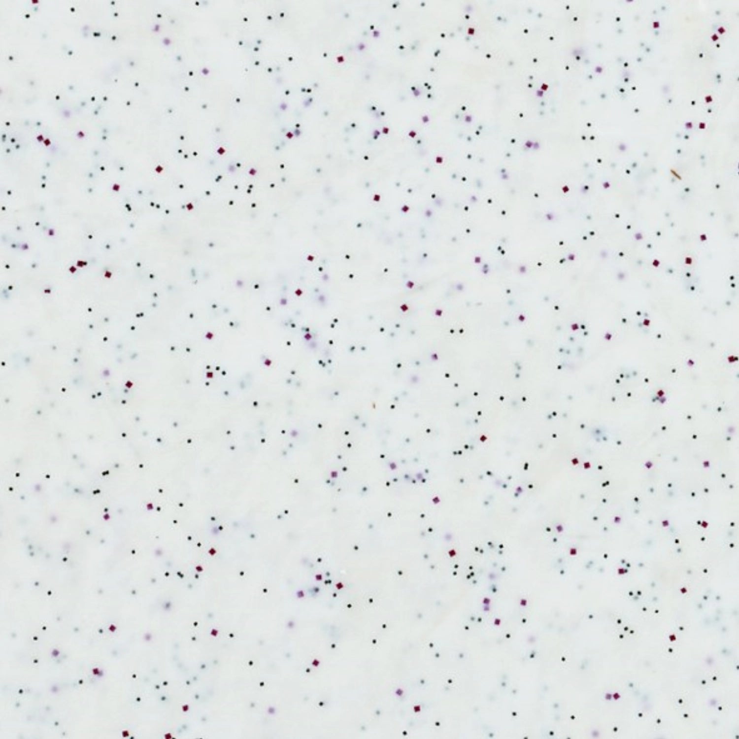 Tablett Polyclassic Medio Weiss 45x32cm