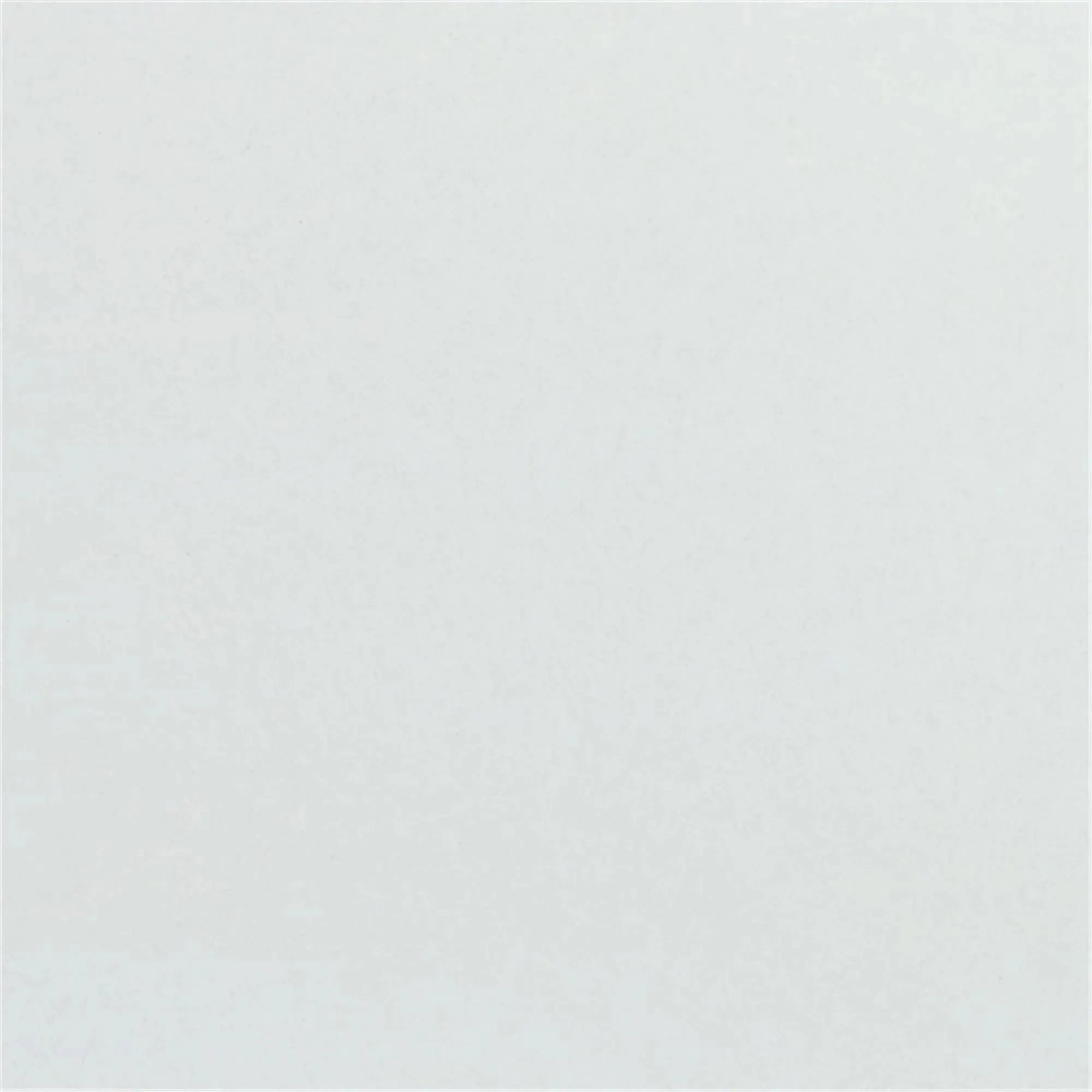 Stilvolles Polyclassic Tablett 46x36cm in modernem Lichtgrau von Roltex.