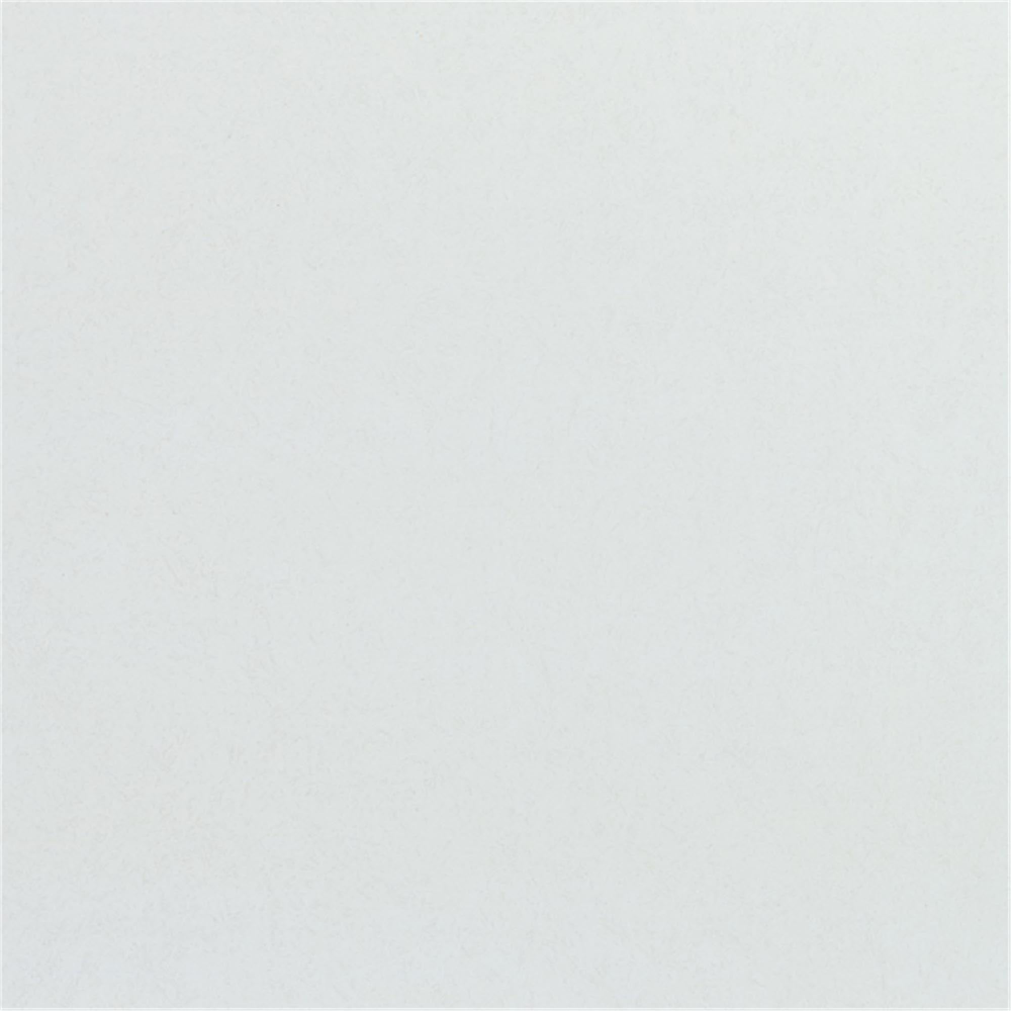 Stilvolles Polyclassic Tablett 46x36cm in modernem Lichtgrau von Roltex.