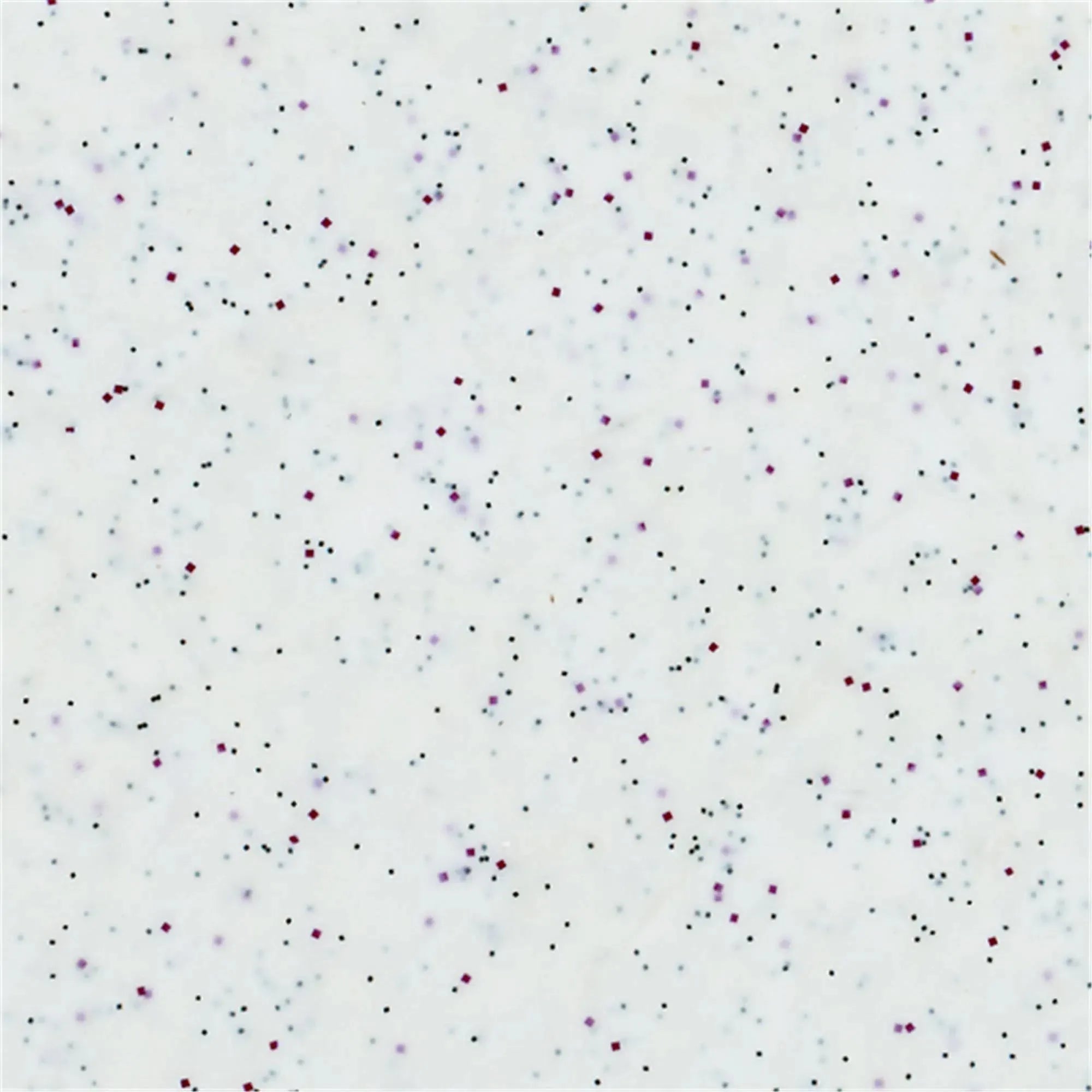 Elegantes Tablett Rocca Weiß 46x36cm von Roltex für vielseitigen Einsatz.