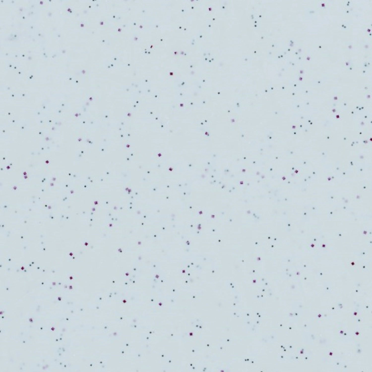 Rocca policlassico Rocca 46x36 cm