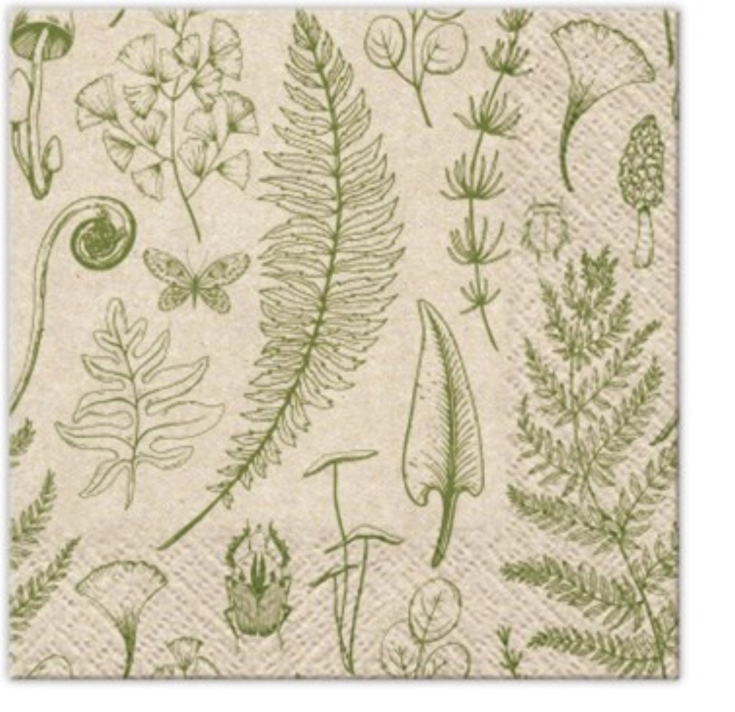 Servietten Cocktail 20x "We Care" forest nature, 25x25 cm in Mehrfarbig präsentiert im Onlineshop von KAQTU Design AG. Servietten ist von PAW