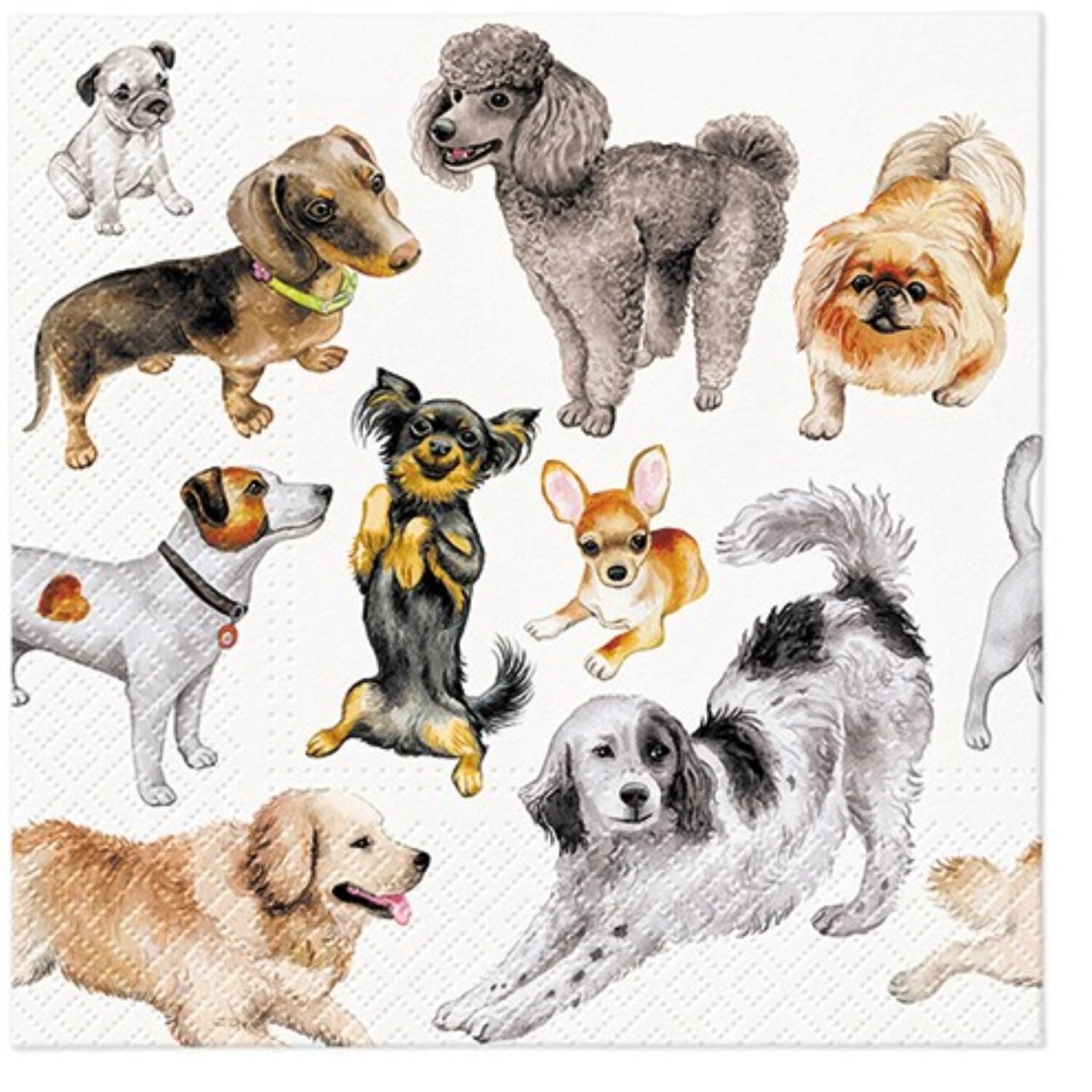 Entdecken Sie die Servietten Lunch 20x Dogs Happiness von PAW. Stilvolle Tischdekoration mit fröhlichen Hunden, ideal für Partys und besondere Anlässe.