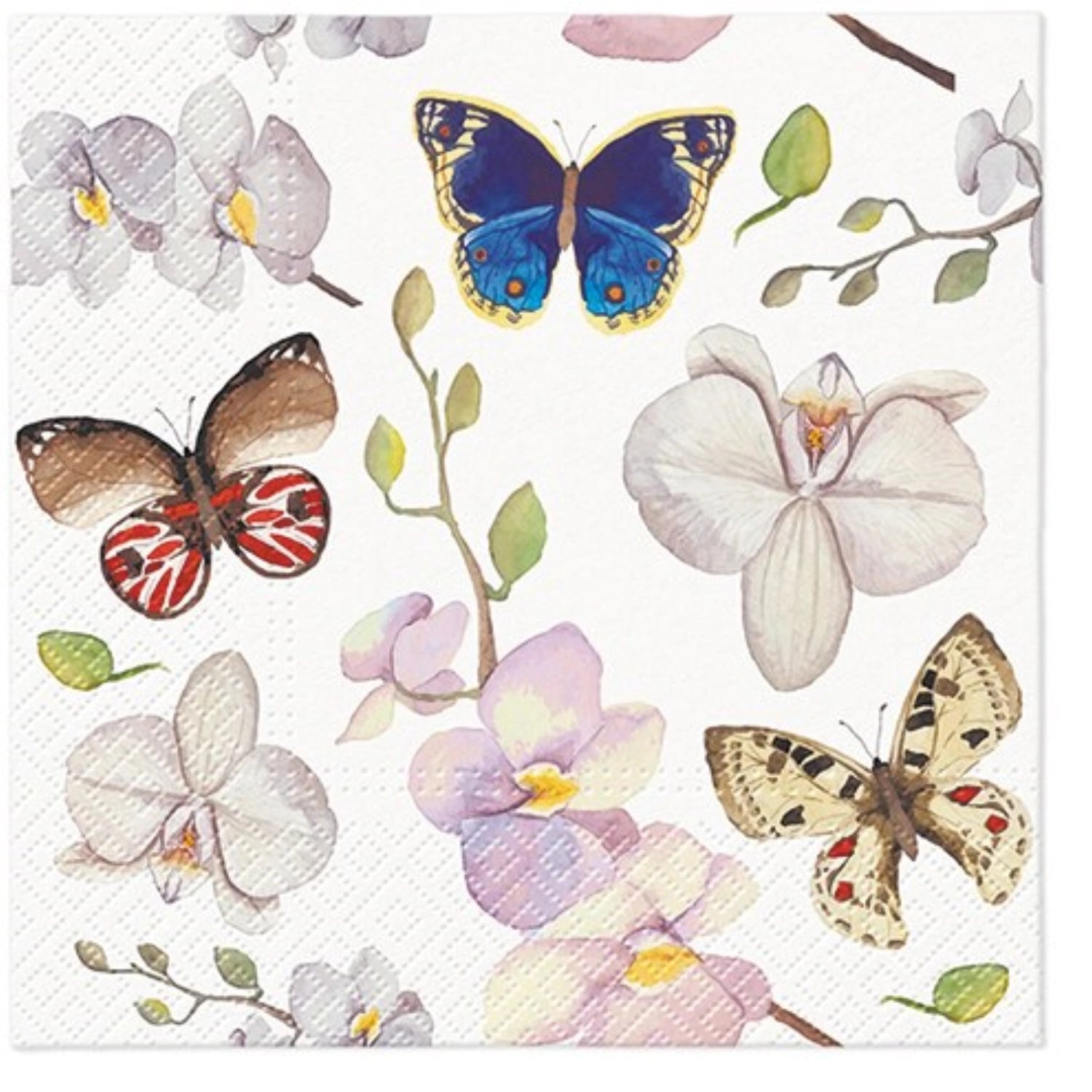 Servietten Lunch 20x Orchidea Schmetterling 33x33cm in Mehrfarbig präsentiert im Onlineshop von KAQTU Design AG. Servietten ist von PAW