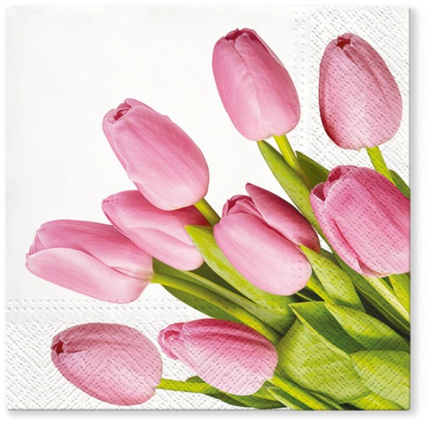 Servietten Lunch 20x Tulpen rosa, 33x33cm - KAQTU Design