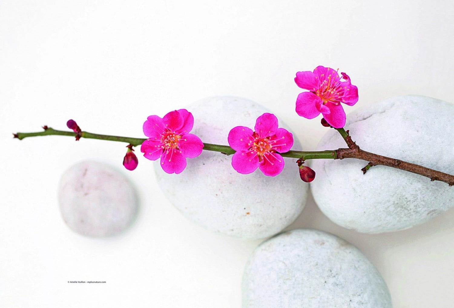 Tranquillity Tischset 45x30cm