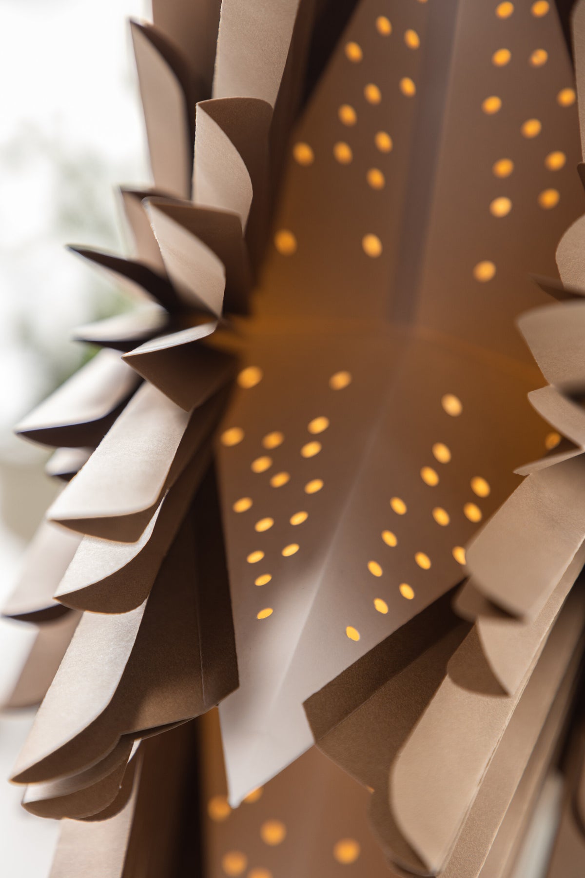 Siegel Pendelleuchte in Braun präsentiert im Onlineshop von KAQTU Design AG. Weihnachtszubehör ist von Venture Home