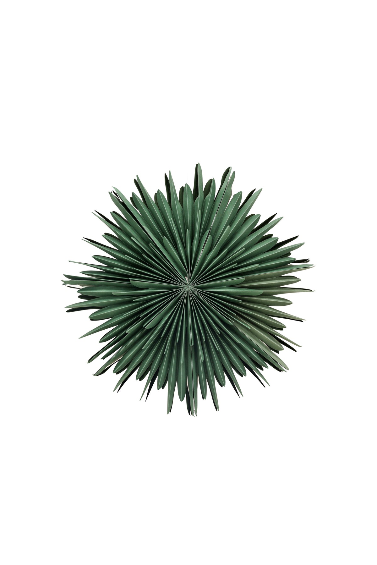Siegel Pendelleuchte in Grün präsentiert im Onlineshop von KAQTU Design AG. Weihnachtszubehör ist von Venture Home