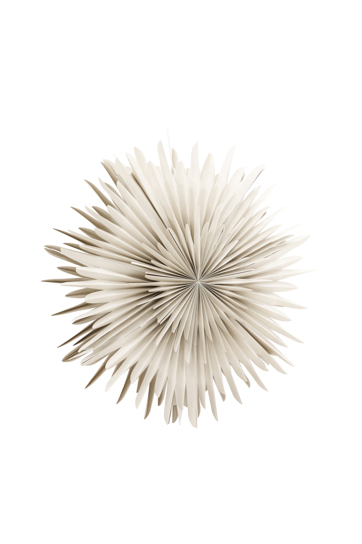 Siegel Pendelleuchte in Beige präsentiert im Onlineshop von KAQTU Design AG. Weihnachtszubehör ist von Venture Home