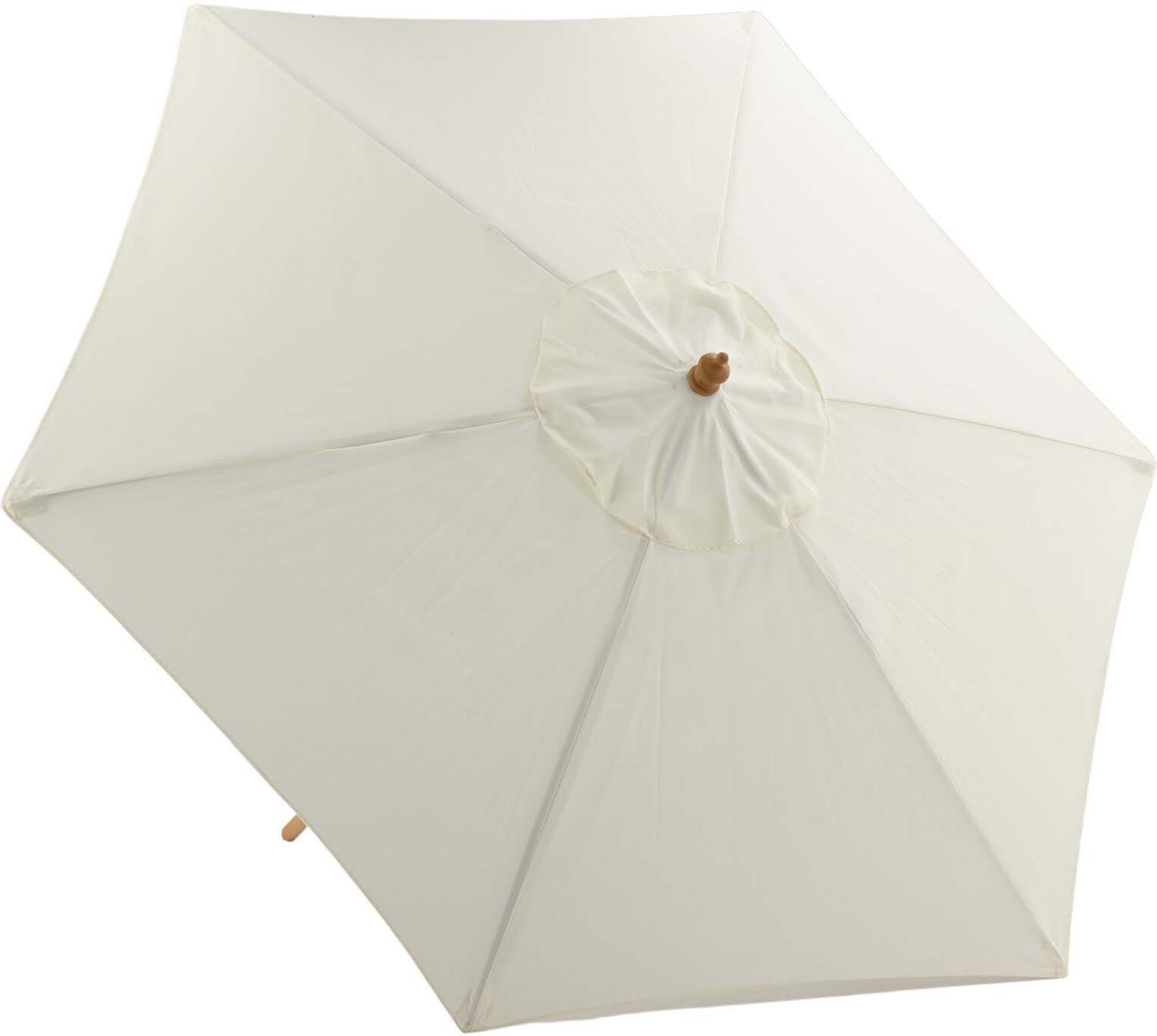 Corypho parasol