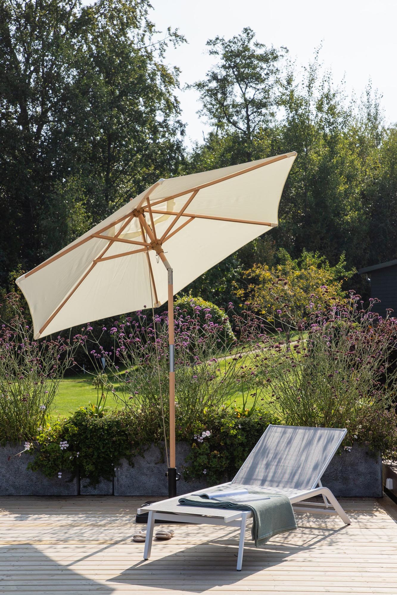 Corypho parasol