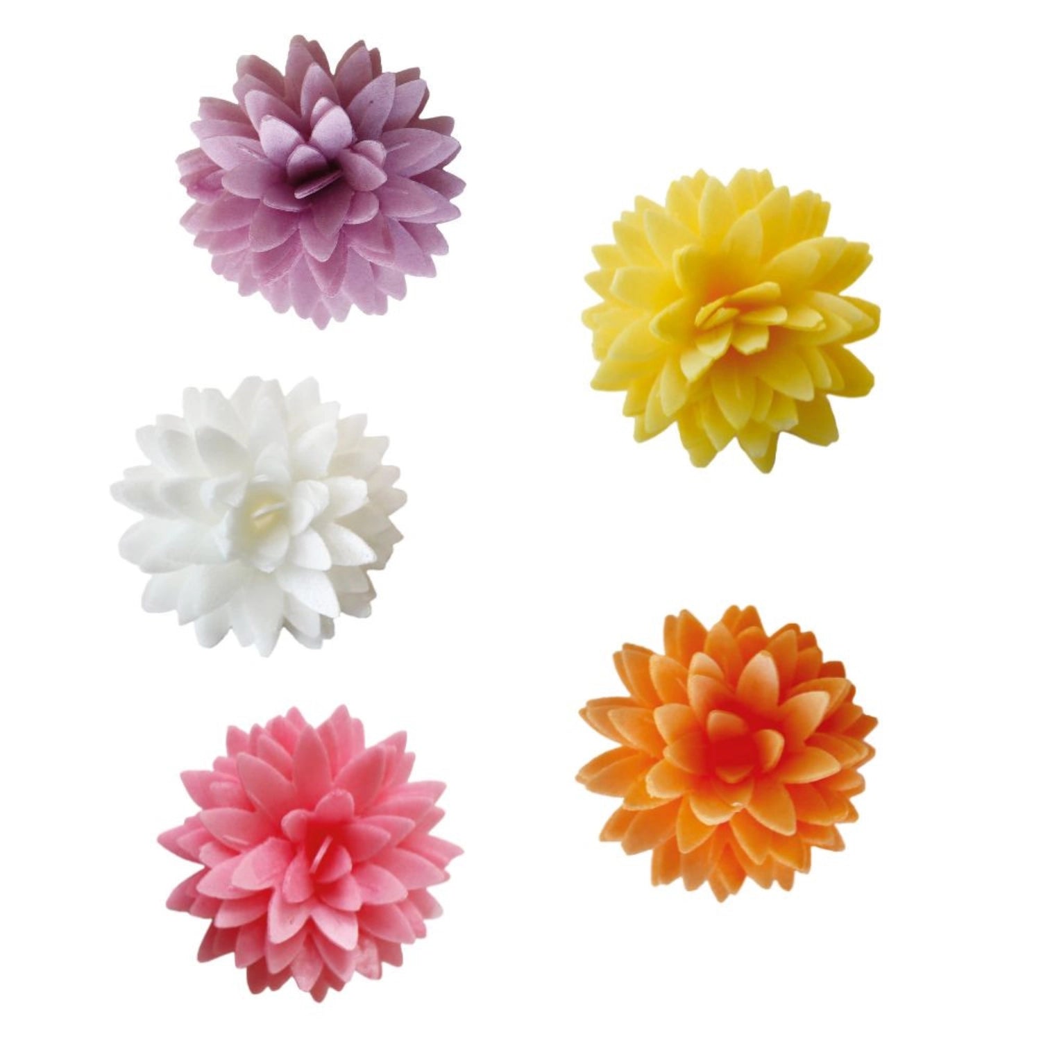 Buntes 5er Set essbare Dahlien von Scrap Cooking, perfekt zum Dekorieren von Kuchen und Süßspeisen für festliche Anlässe.