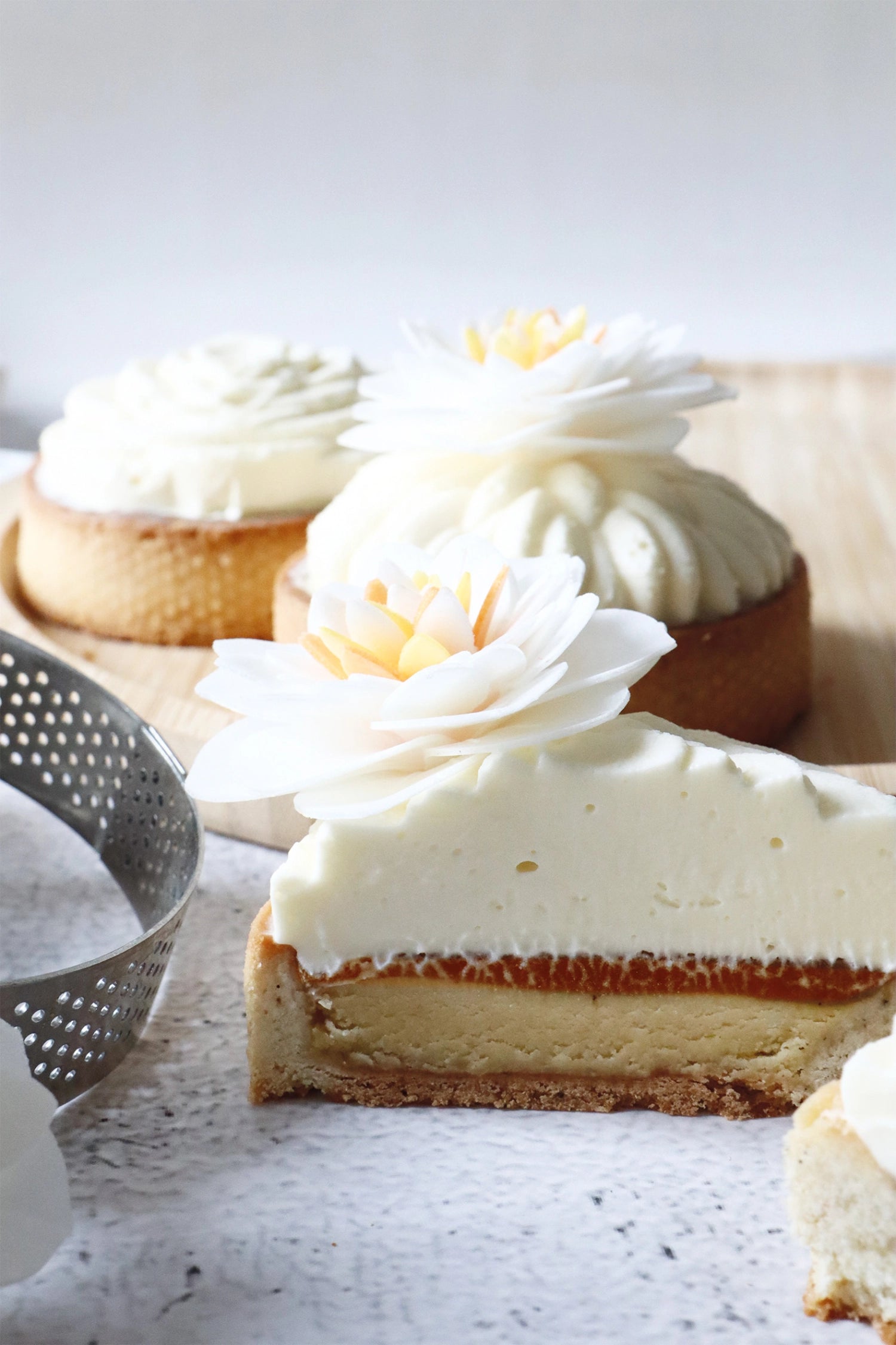 4er Set Kamelien aus Esspapier