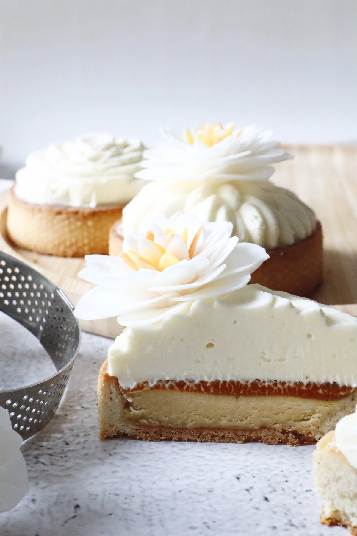 4er Set Kamelien aus Esspapier in Mehrfarbig präsentiert im Onlineshop von KAQTU Design AG. Zutaten ist von Scrap Cooking