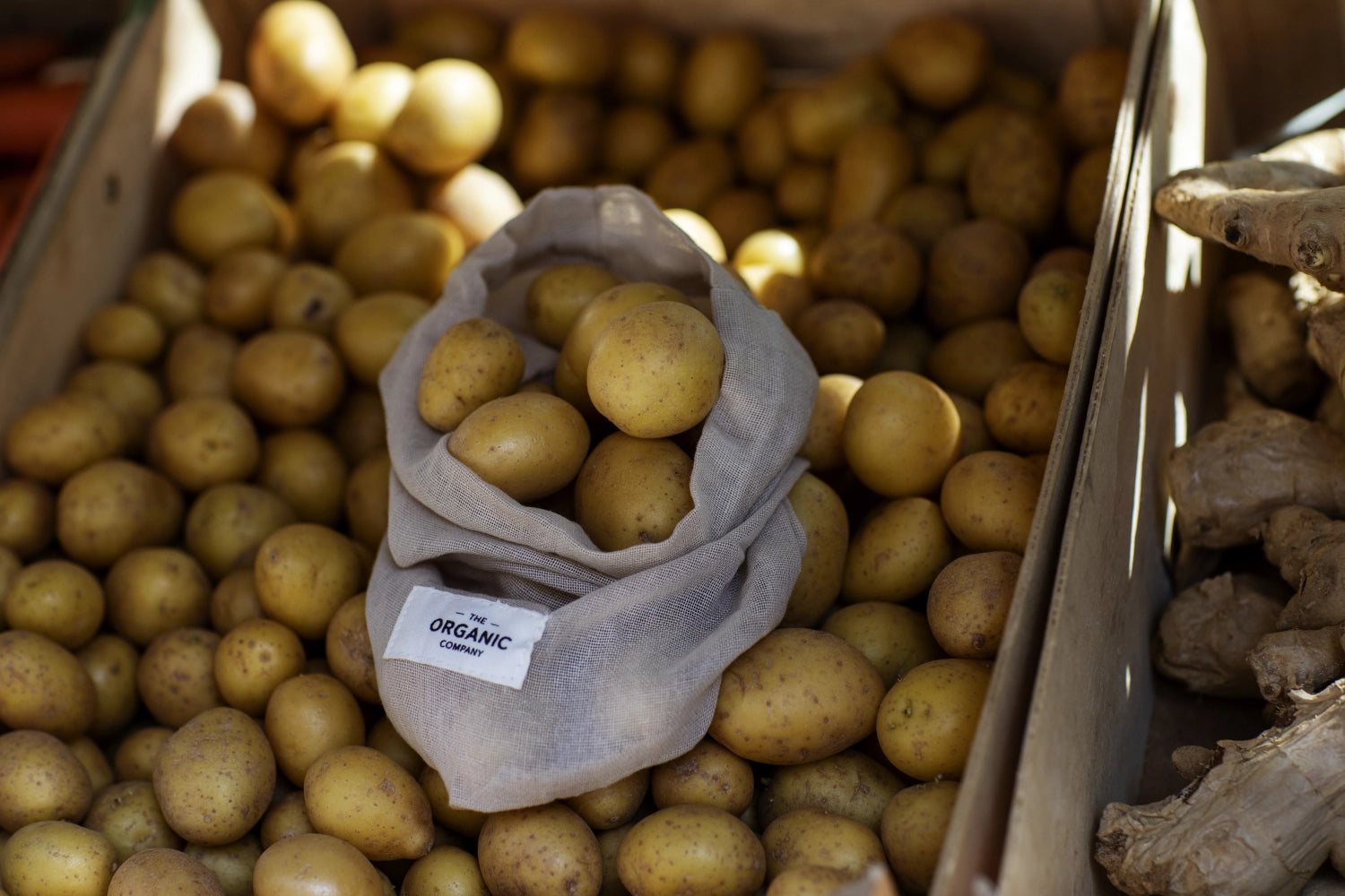 Sac alimentaire lot de 3 sacs pierre coton bio