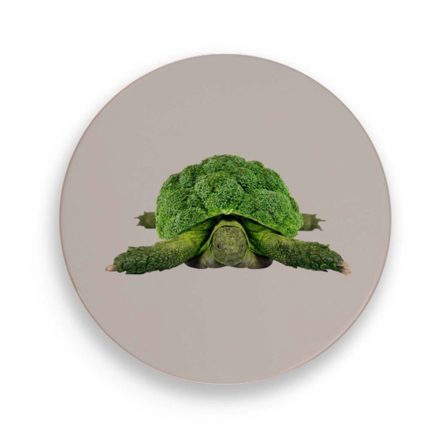 Untersetzer Schildkröte D18cm Keramik in Mehrfarbig präsentiert im Onlineshop von KAQTU Design AG. Pfannenuntersatz ist von Easy Life