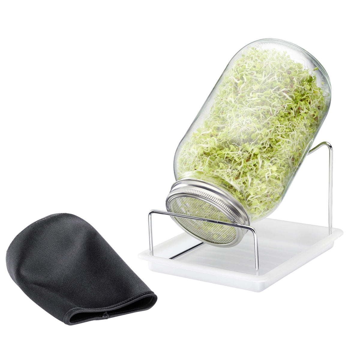 Sprossenglas 2000 ml in Mehrfarbig präsentiert im Onlineshop von KAQTU Design AG. Aufbewahrungsbehälter ist von Westmark
