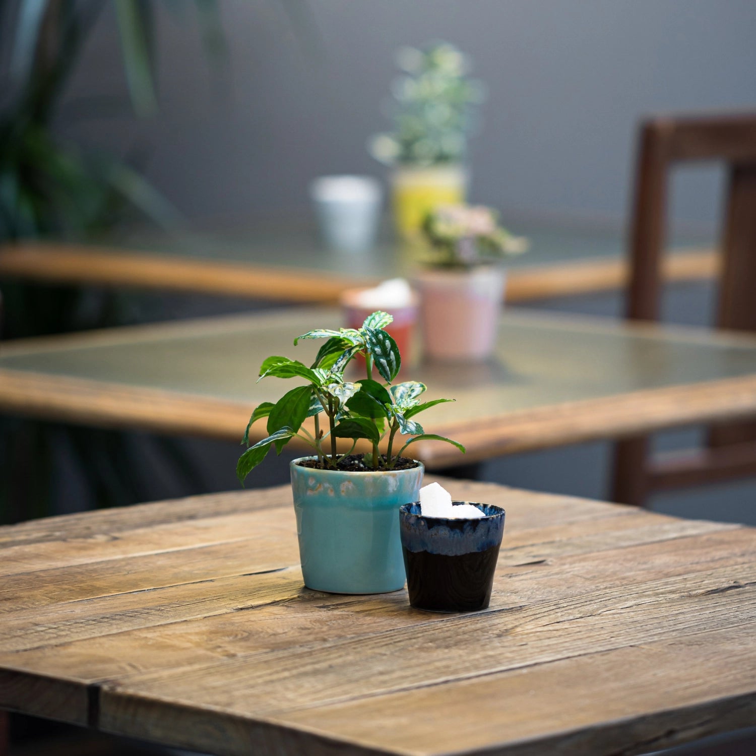 Grespresso Kaffeetasse 190ml D8cm H7.5cm aqua in Blau präsentiert im Onlineshop von KAQTU Design AG. Tasse ist von Costa Nova