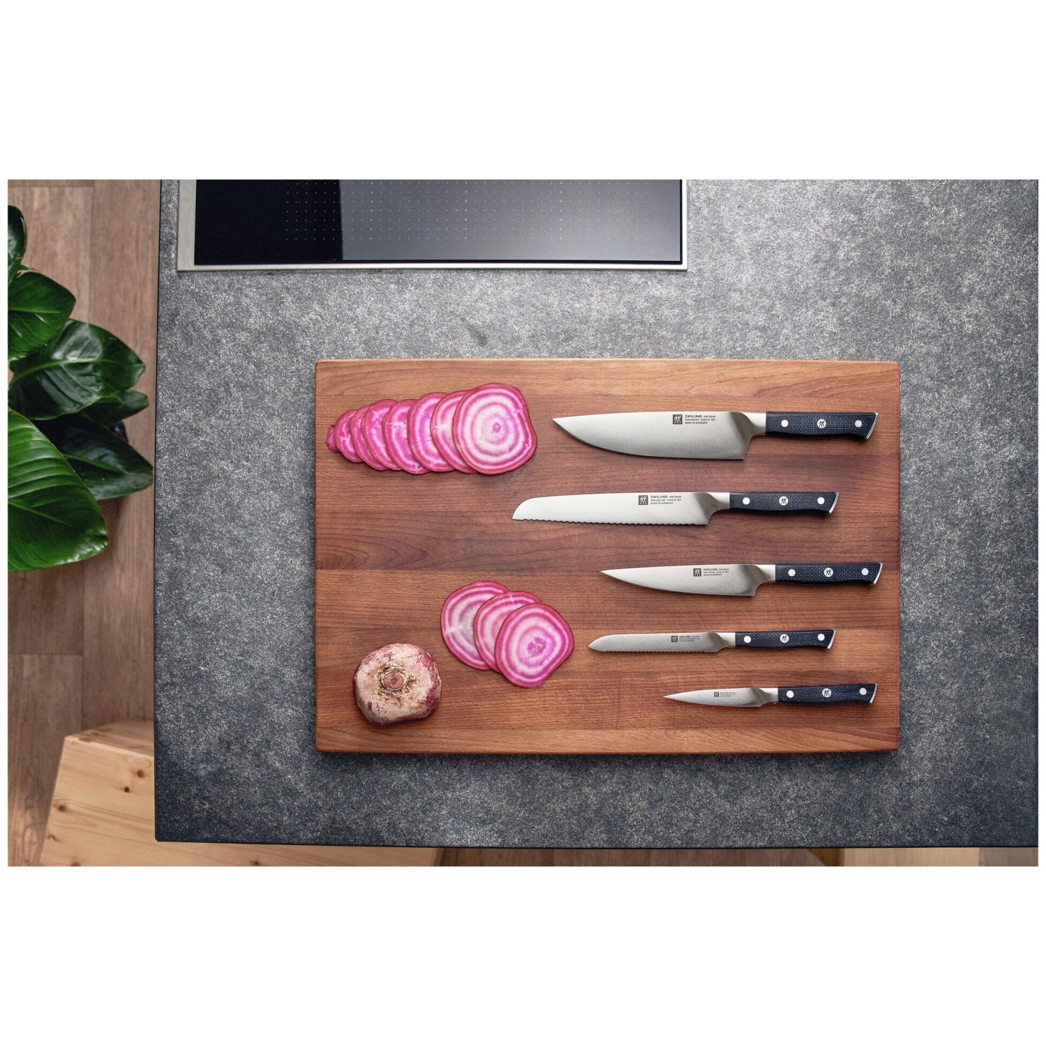 4er Set Spectrum Steakmesser in Mehrfarbig präsentiert im Onlineshop von KAQTU Design AG. Küchenmesser ist von Zwilling
