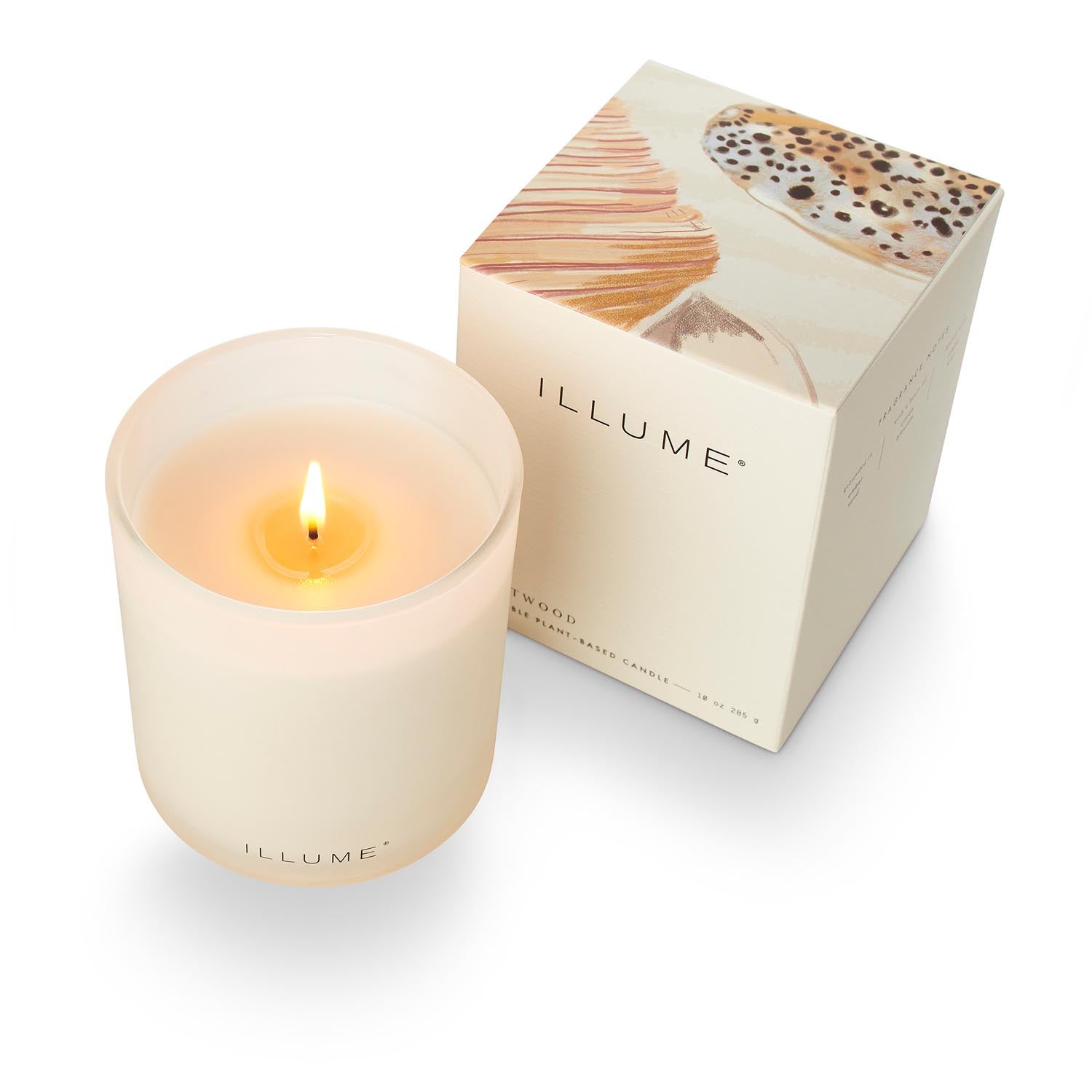 Driftwood Box Glass Candle, Weiss, in Weiß präsentiert im Onlineshop von KAQTU Design AG. Duftkerze ist von Illume